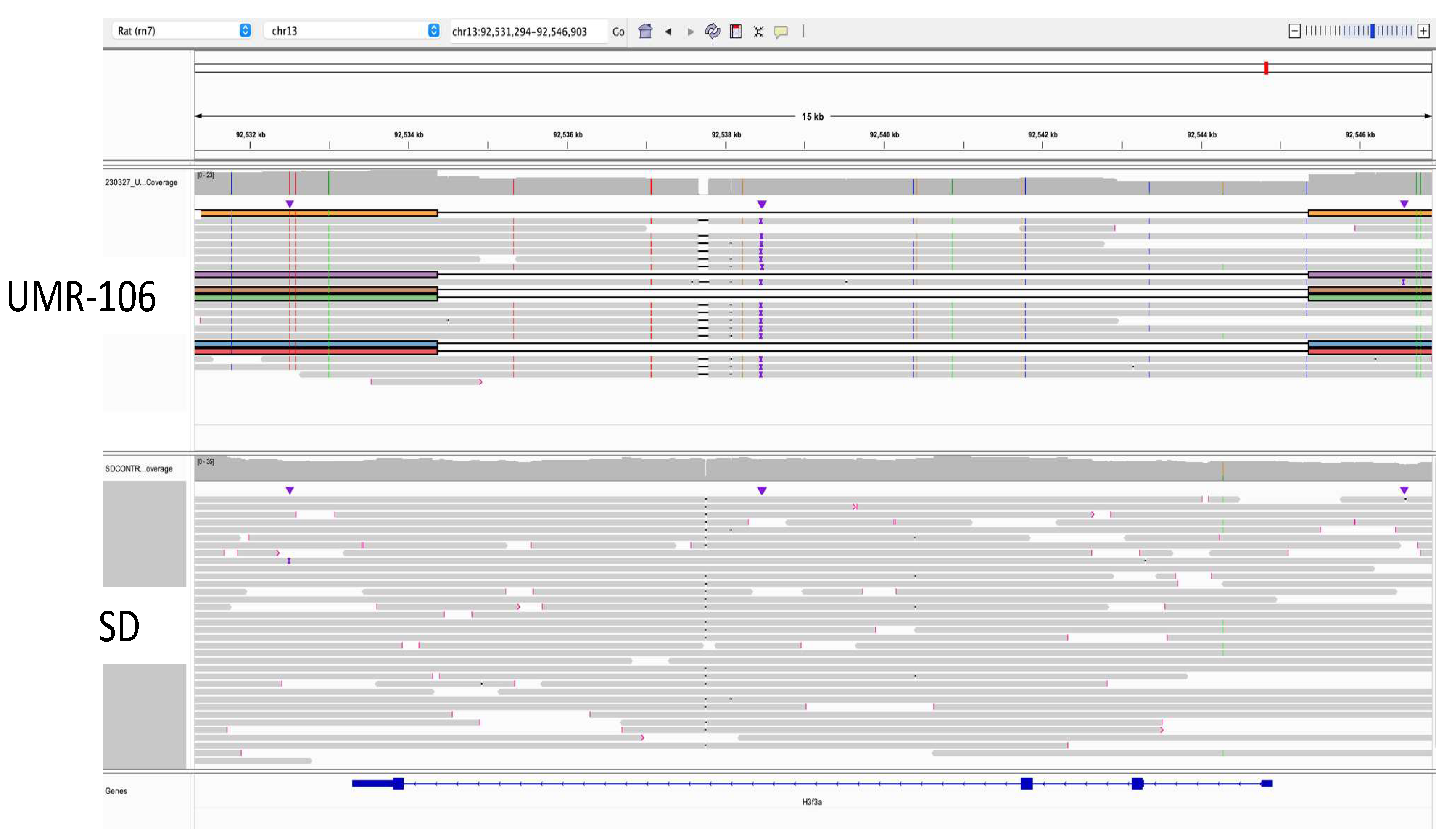 Preprints 118969 g003