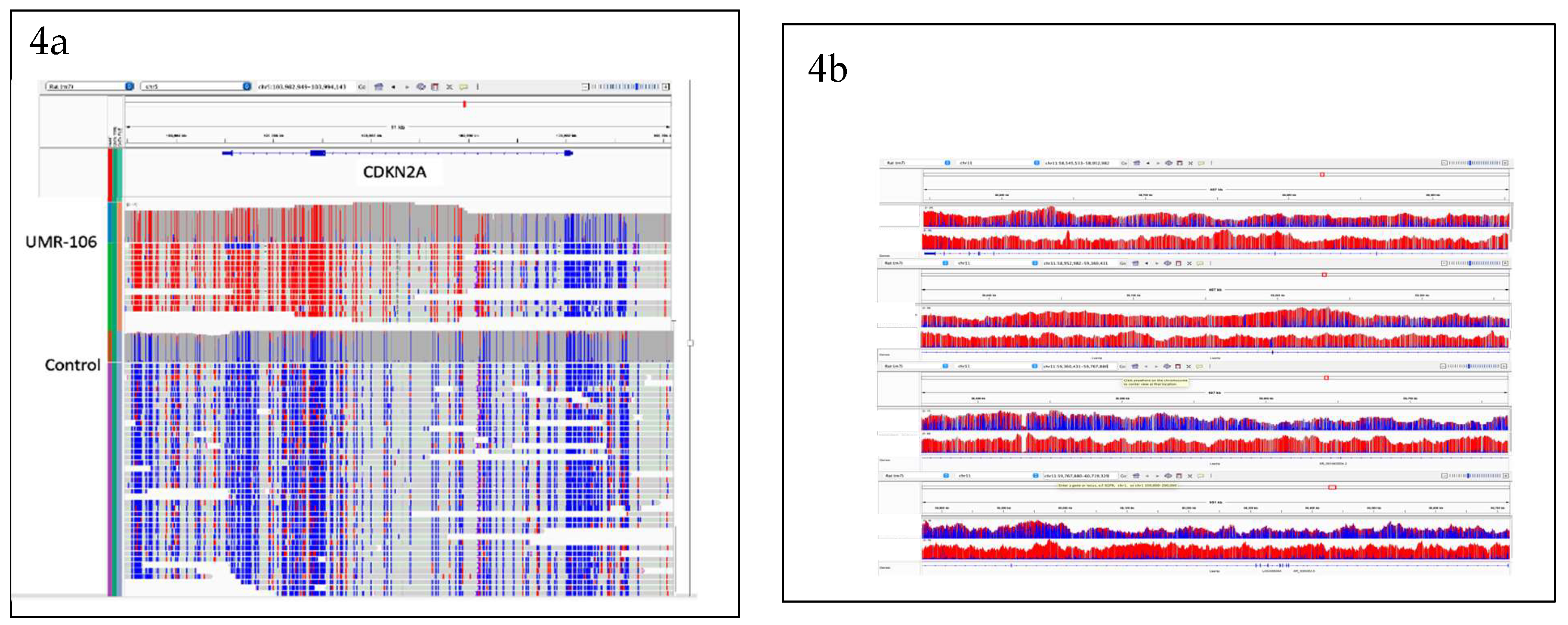 Preprints 118969 g004