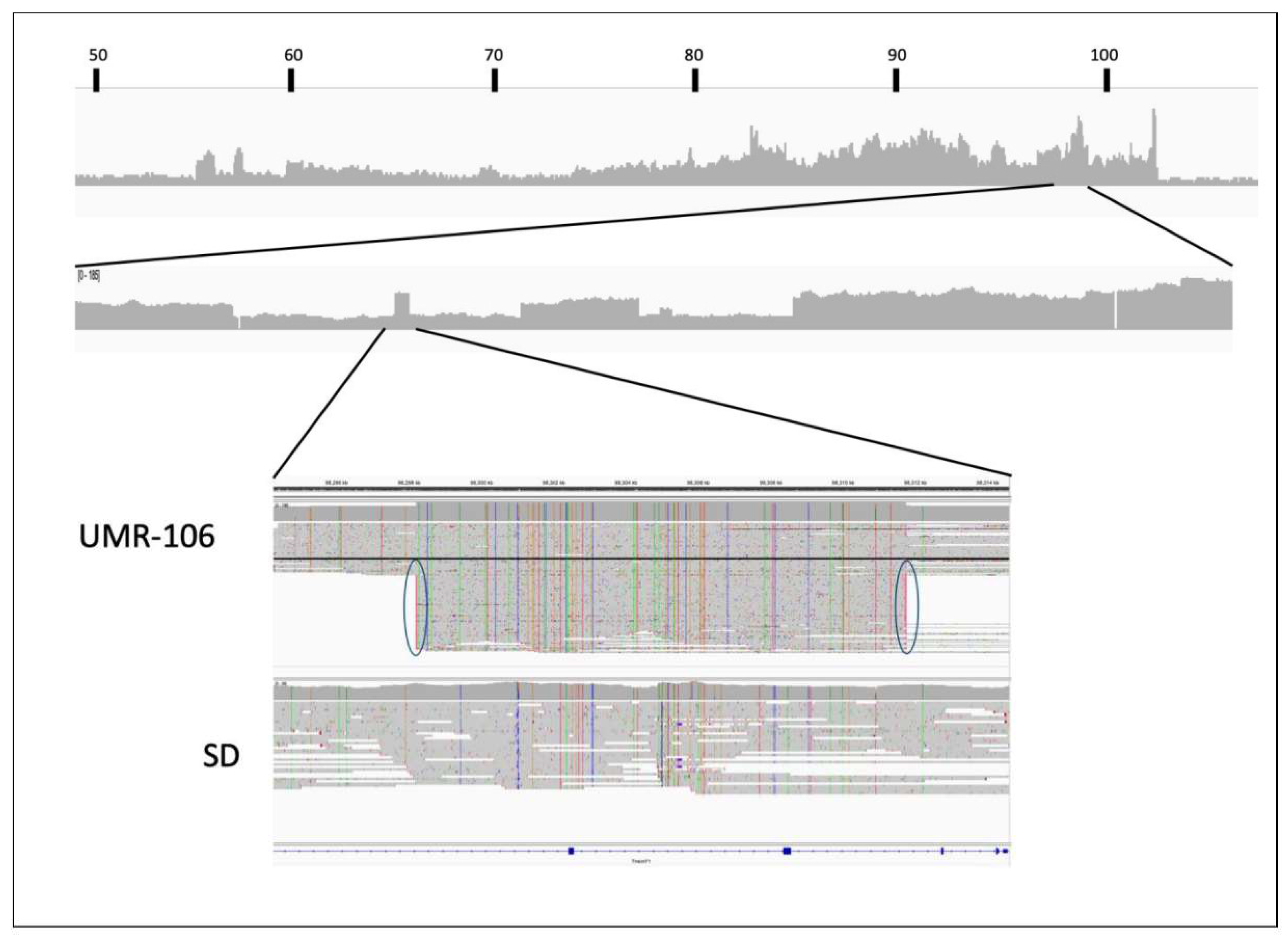 Preprints 118969 g005