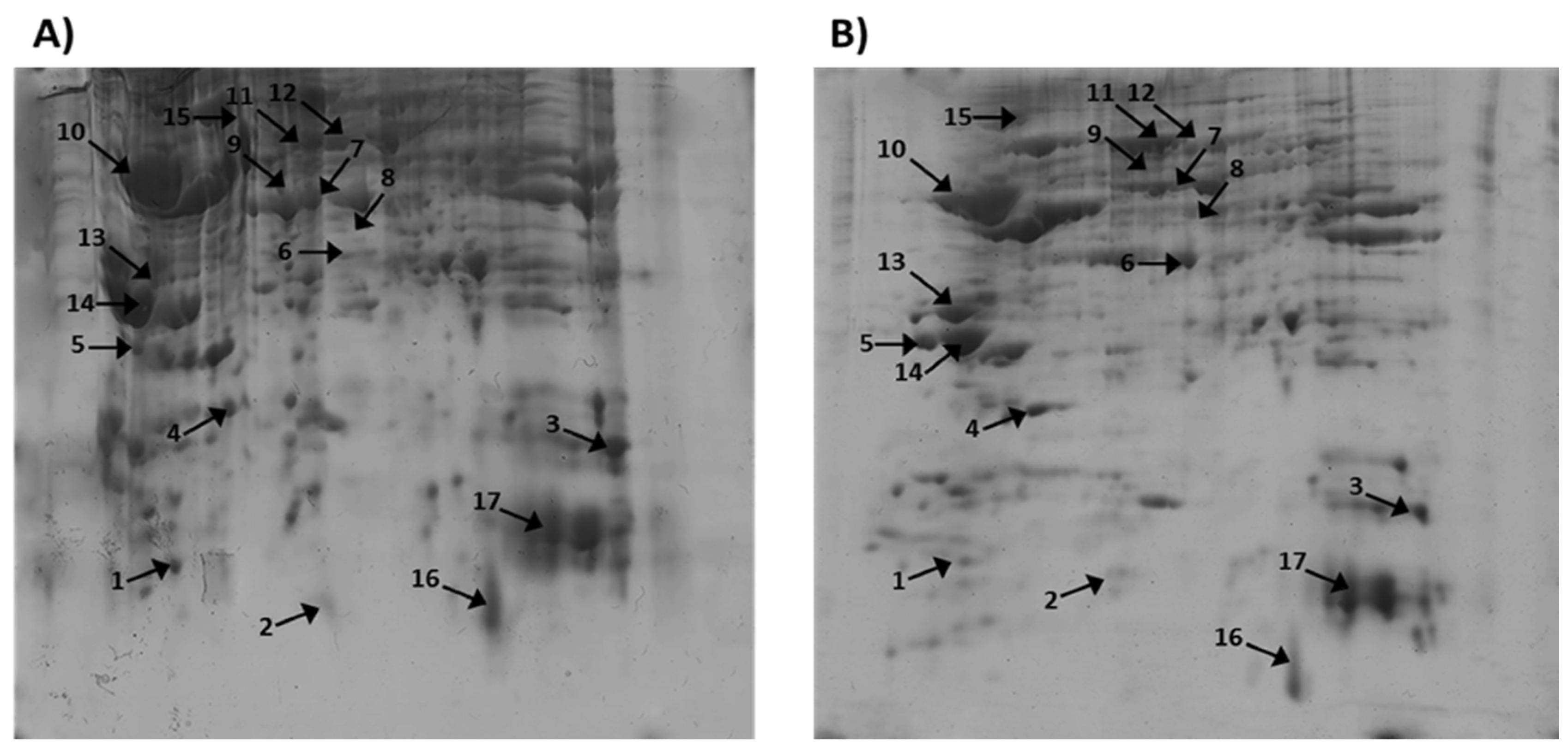 Preprints 120781 g001