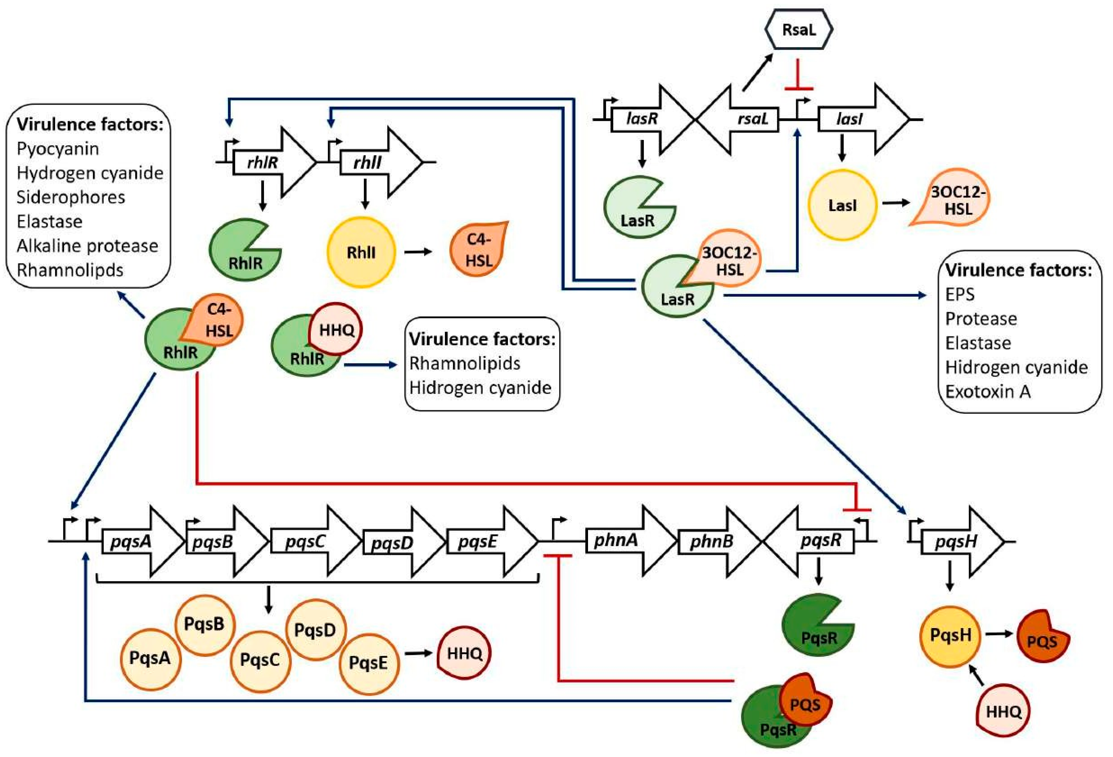 Preprints 105586 g001