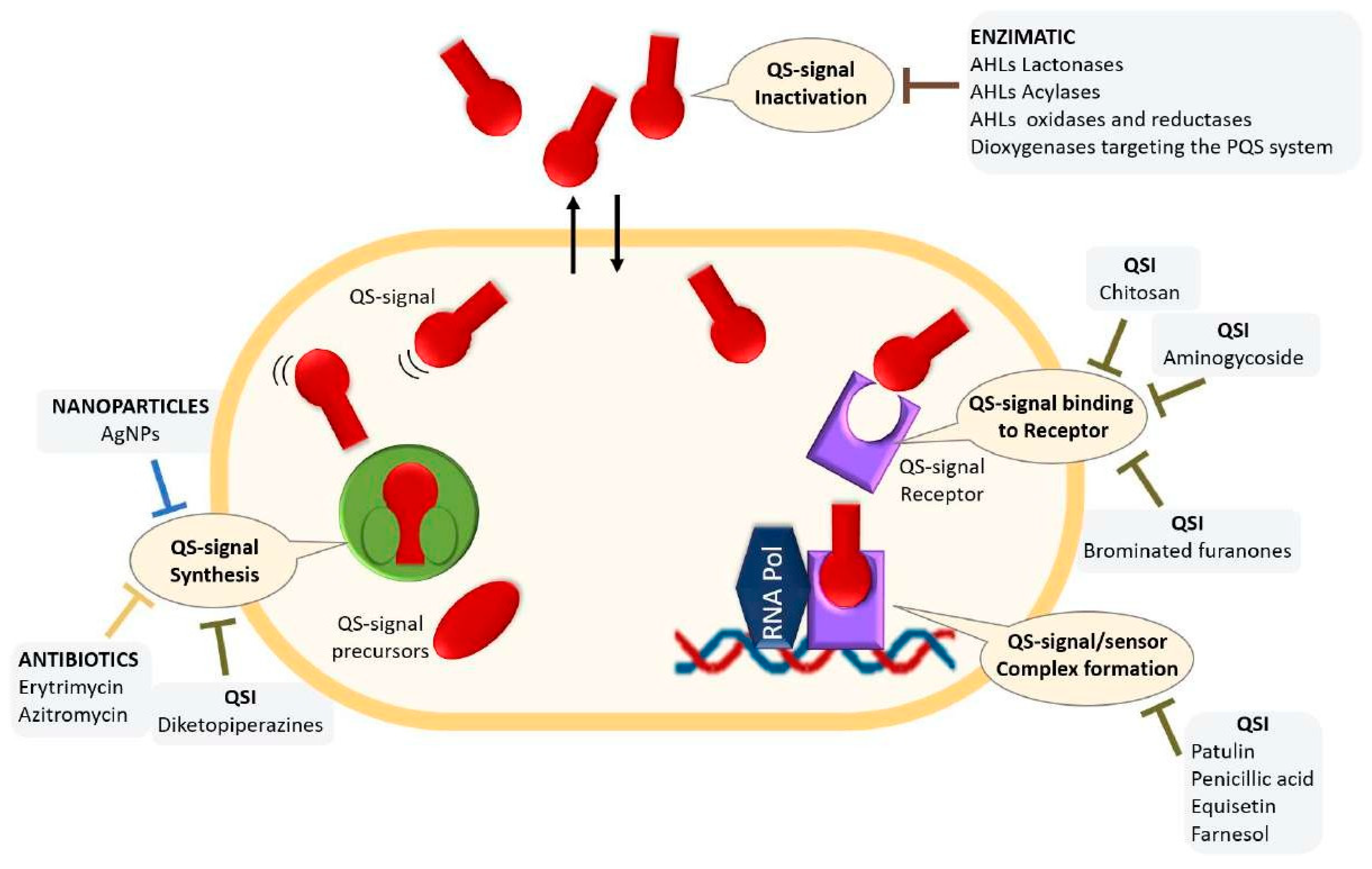 Preprints 105586 g002