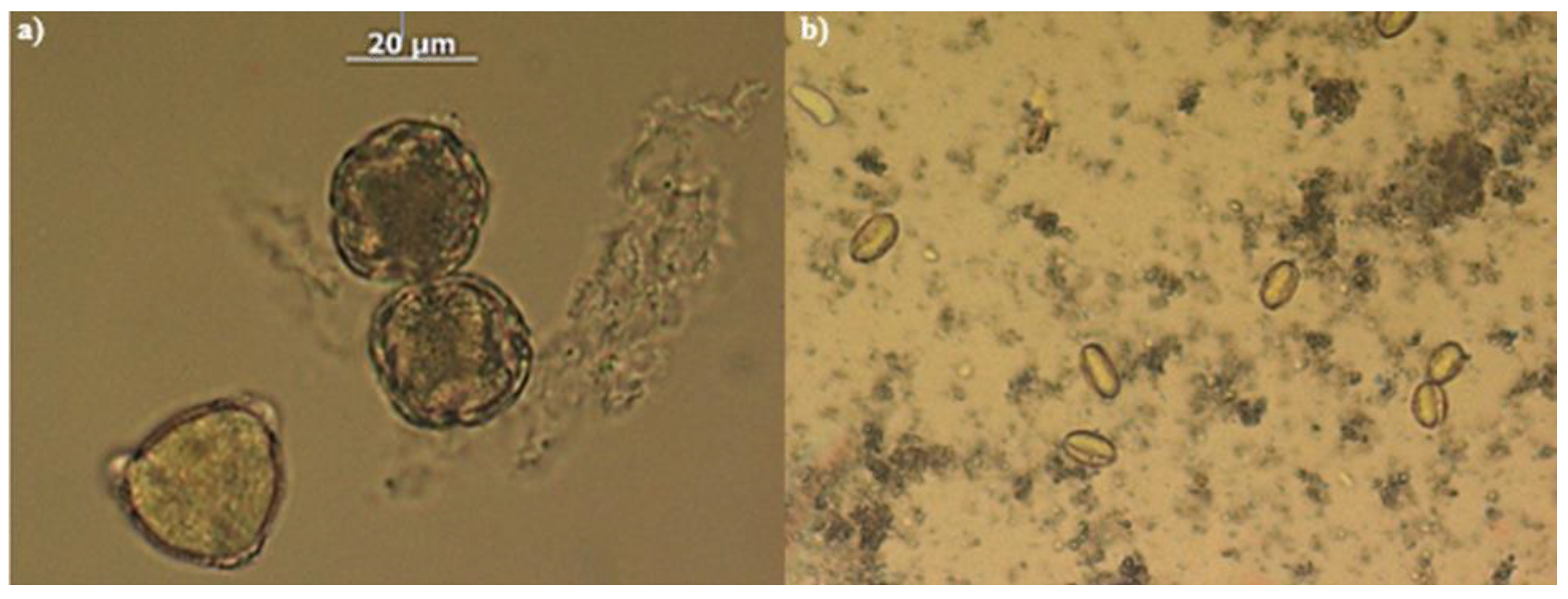 Preprints 118175 g002