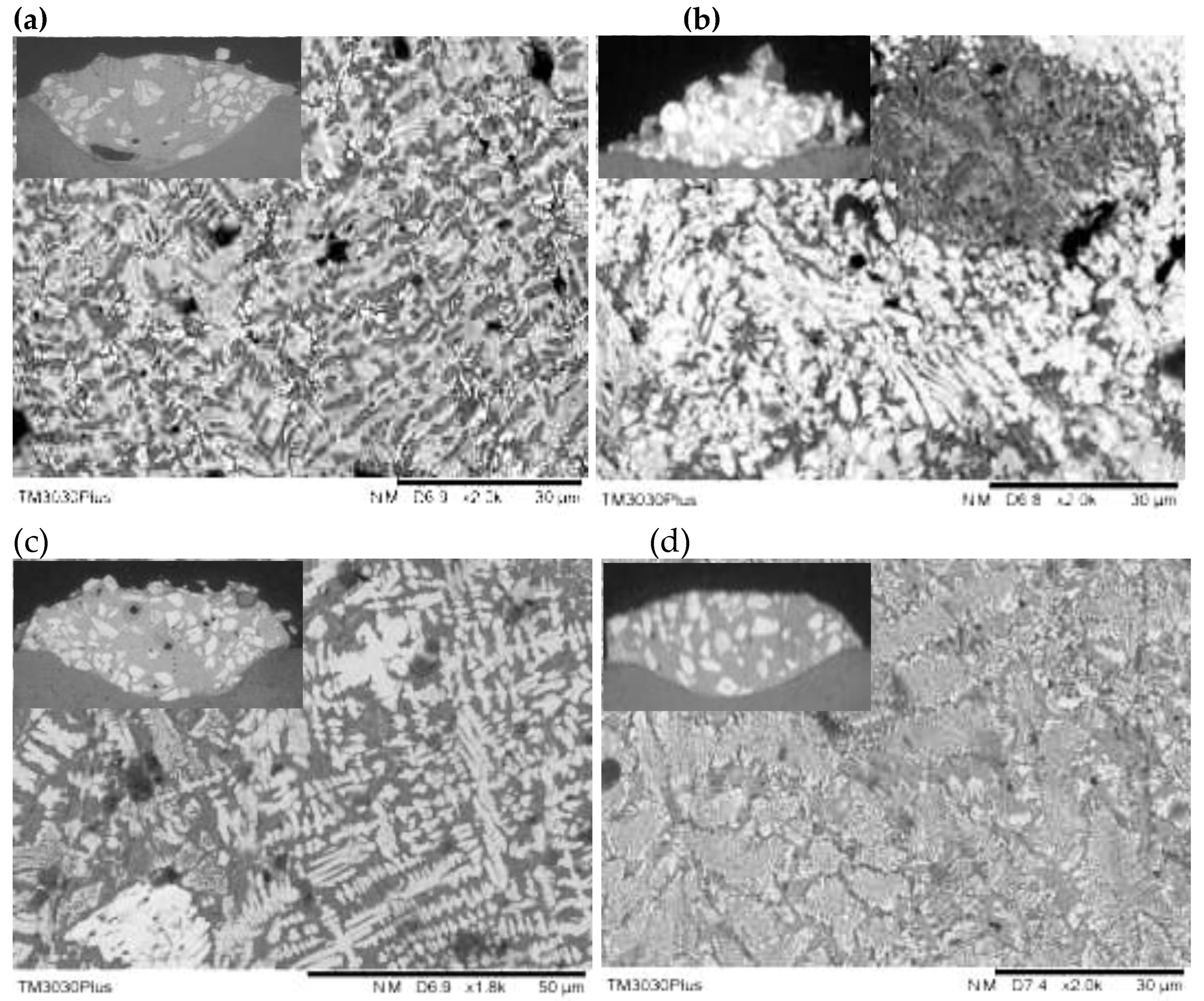 Preprints 120098 g001