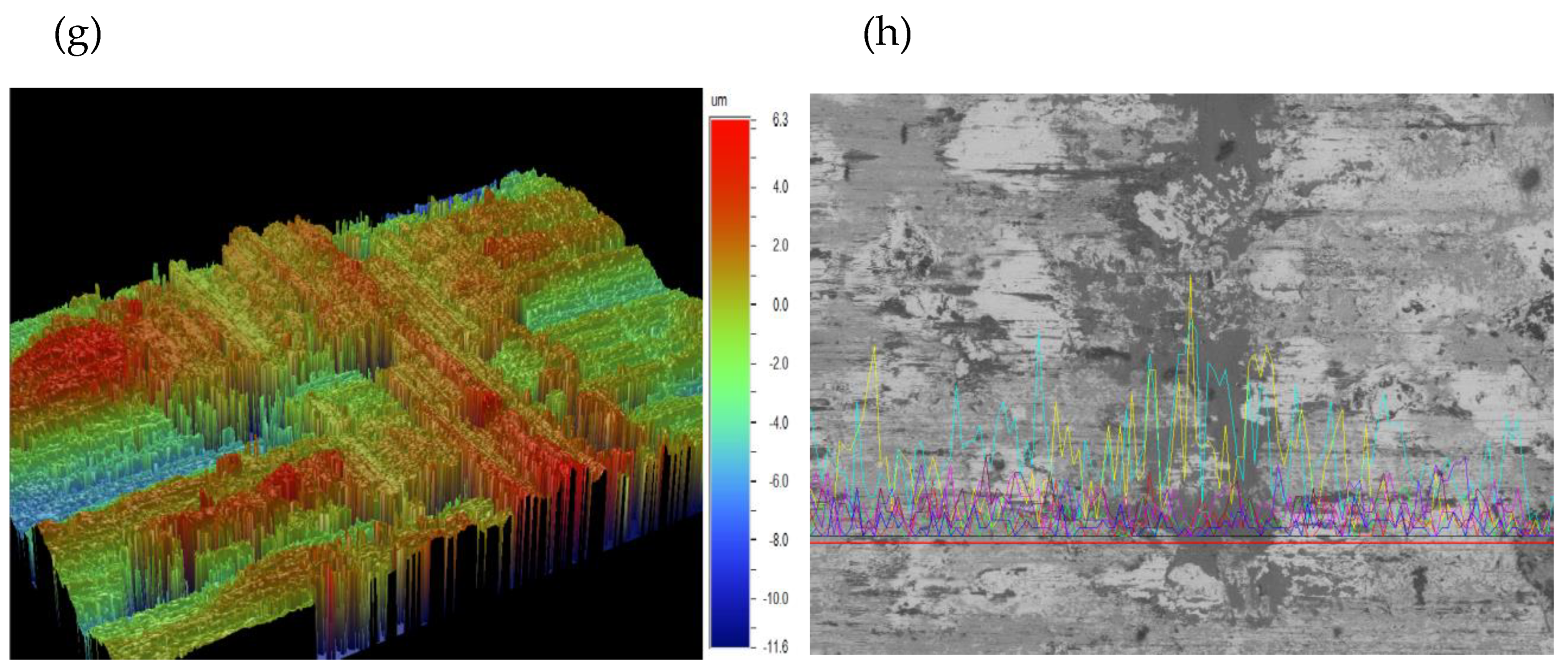 Preprints 120098 g002b