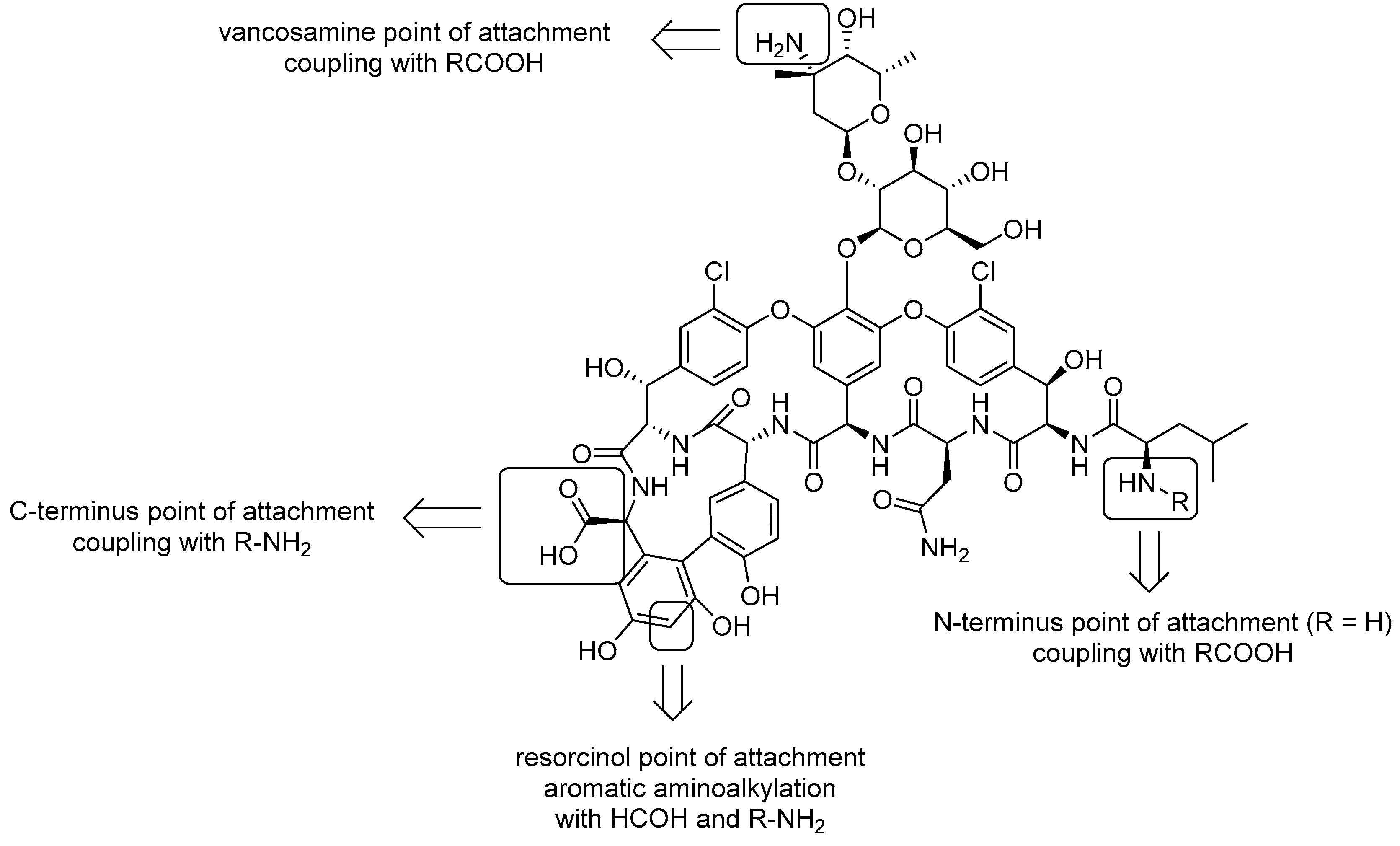 Preprints 113133 g002