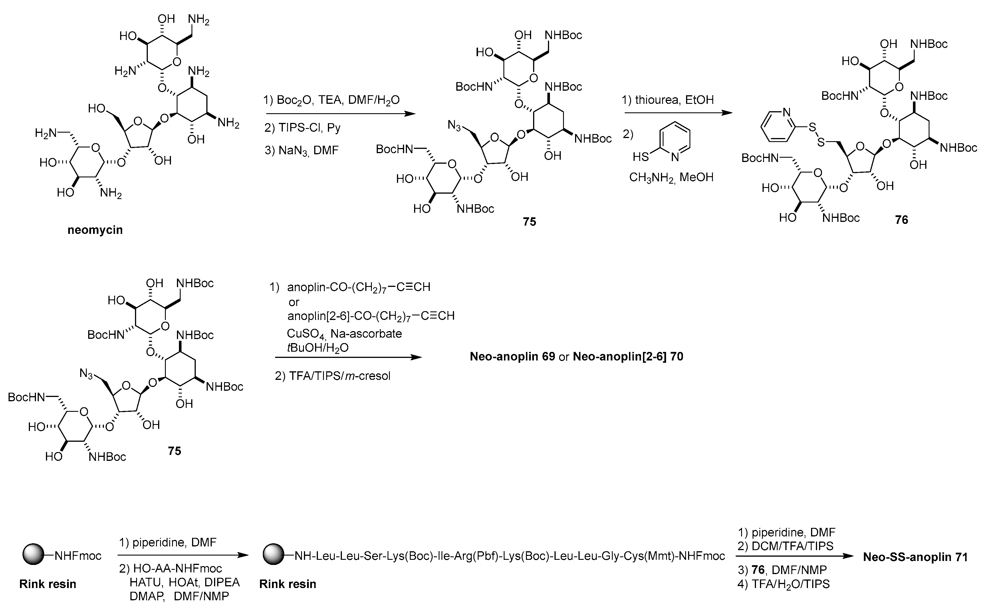 Dual Antibiotic Approach Synthesis and Antibacterial Activity of  