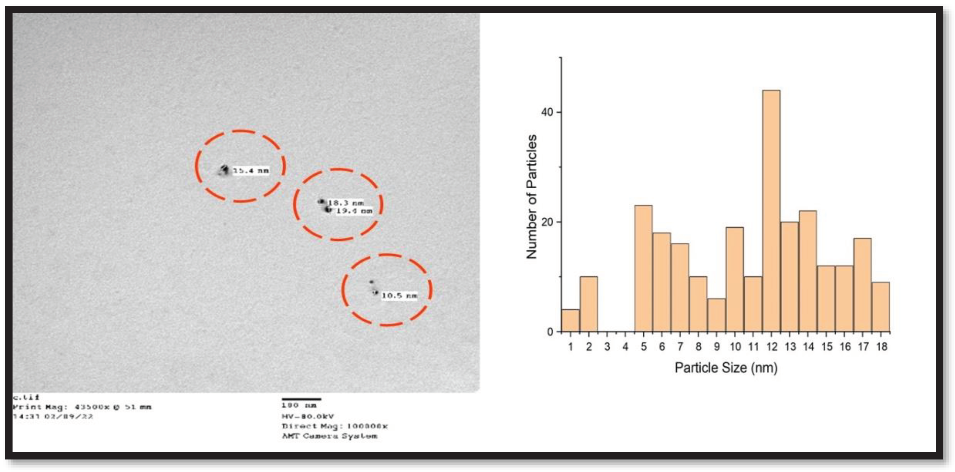 Preprints 94131 g004