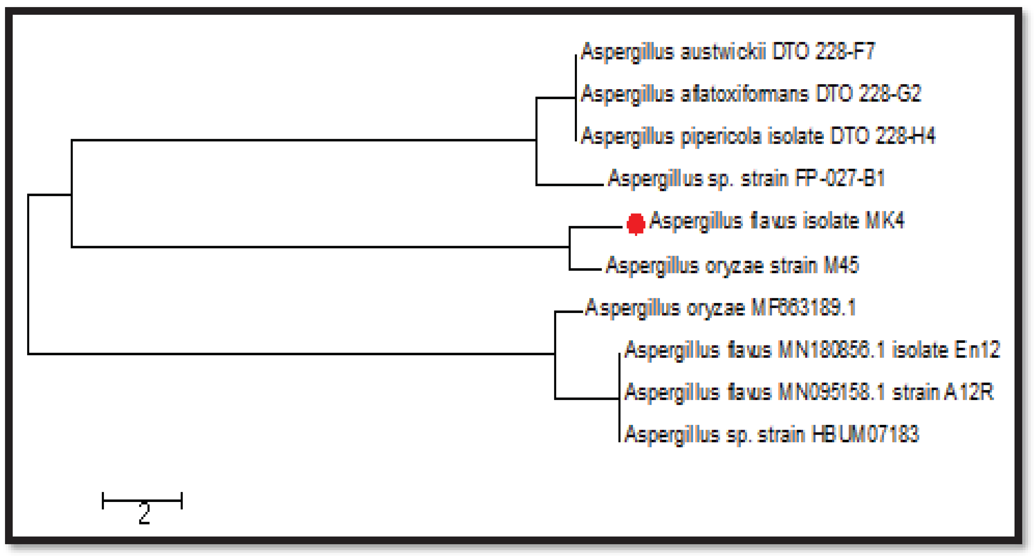 Preprints 94131 g005