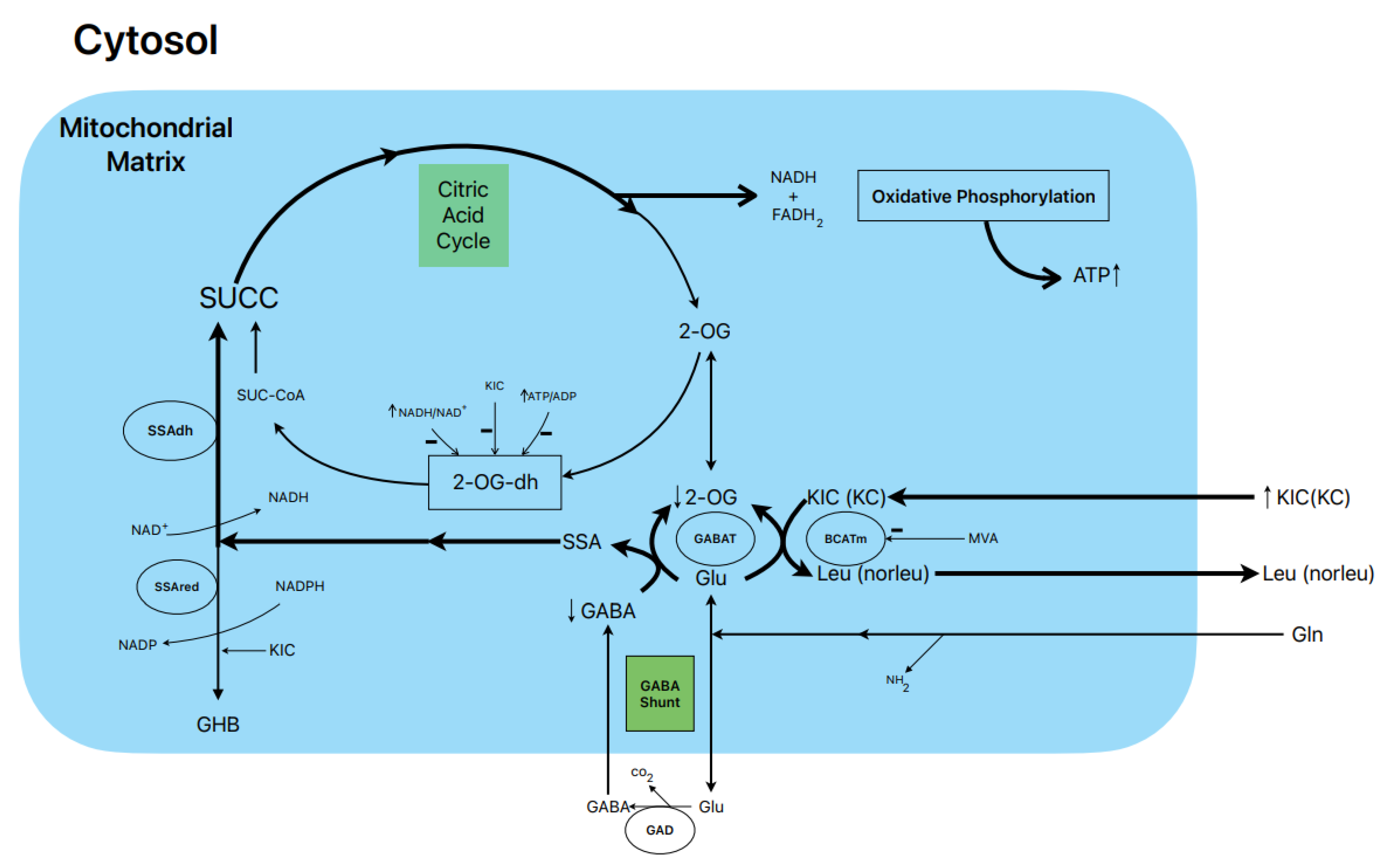 Preprints 72166 g001