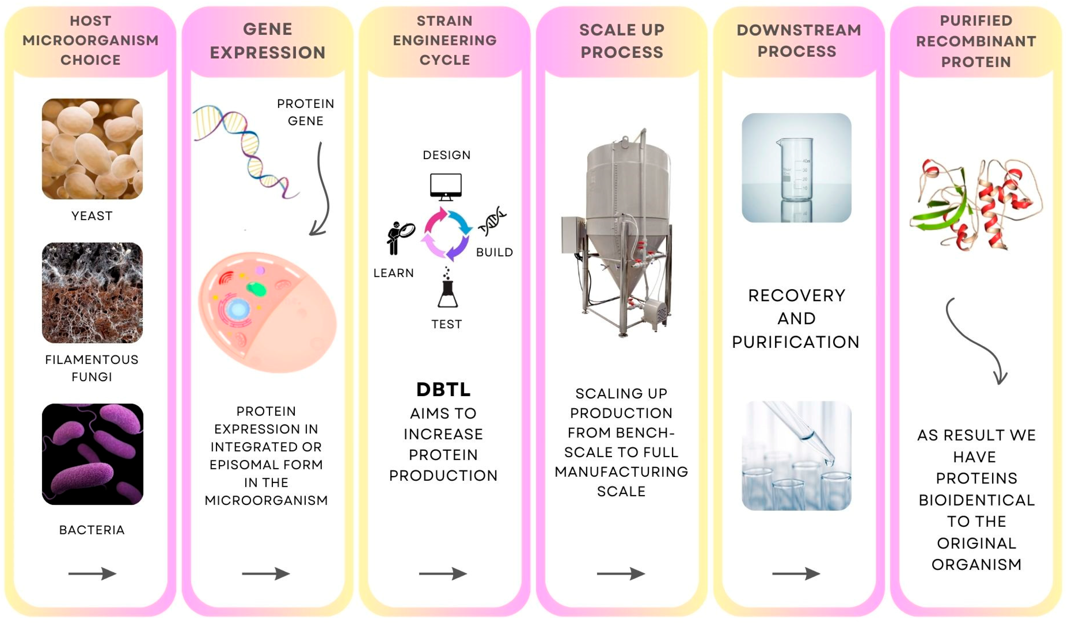 Preprints 105234 g001