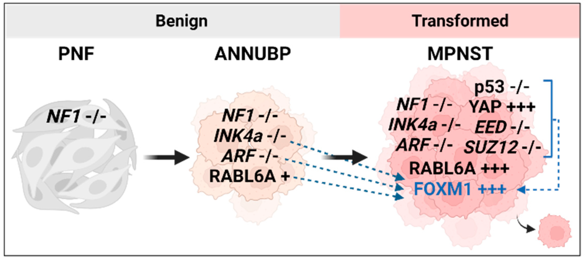 Preprints 81120 g001