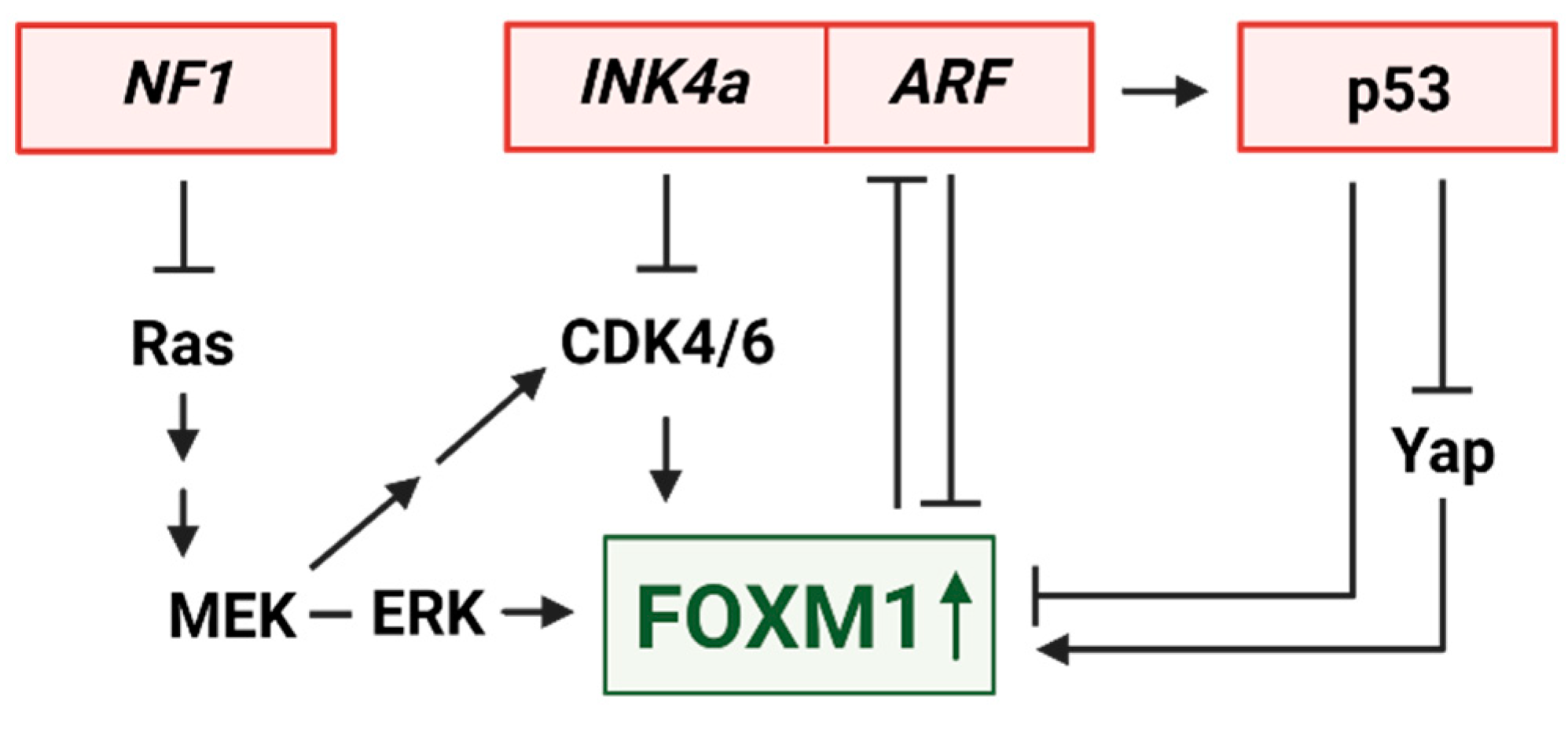 Preprints 81120 g002