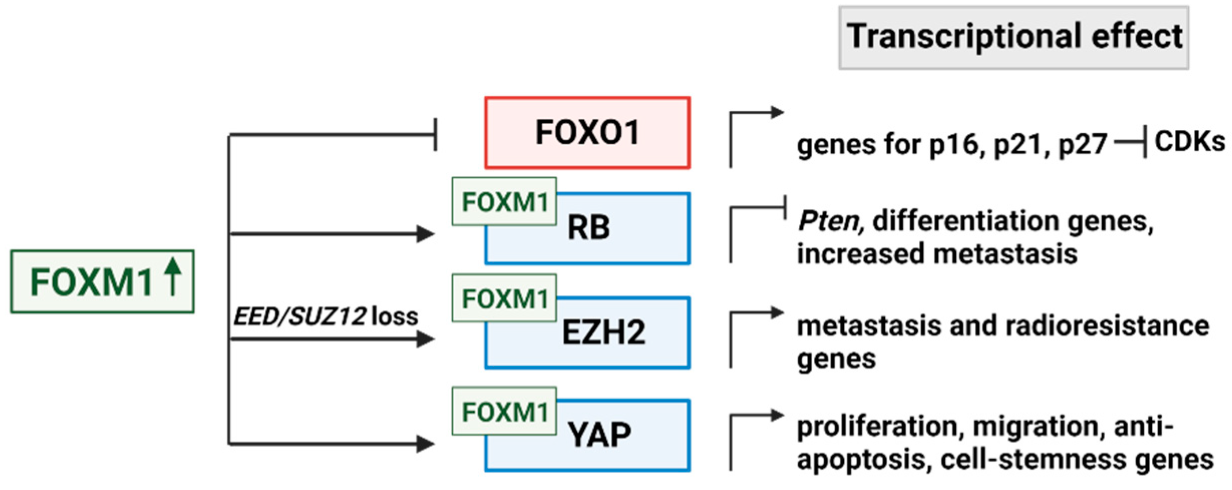 Preprints 81120 g003