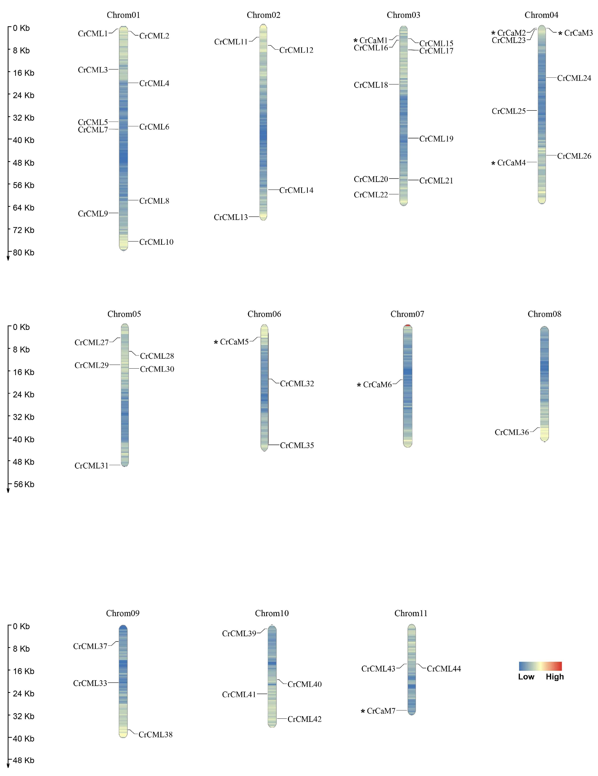 Preprints 120145 g001