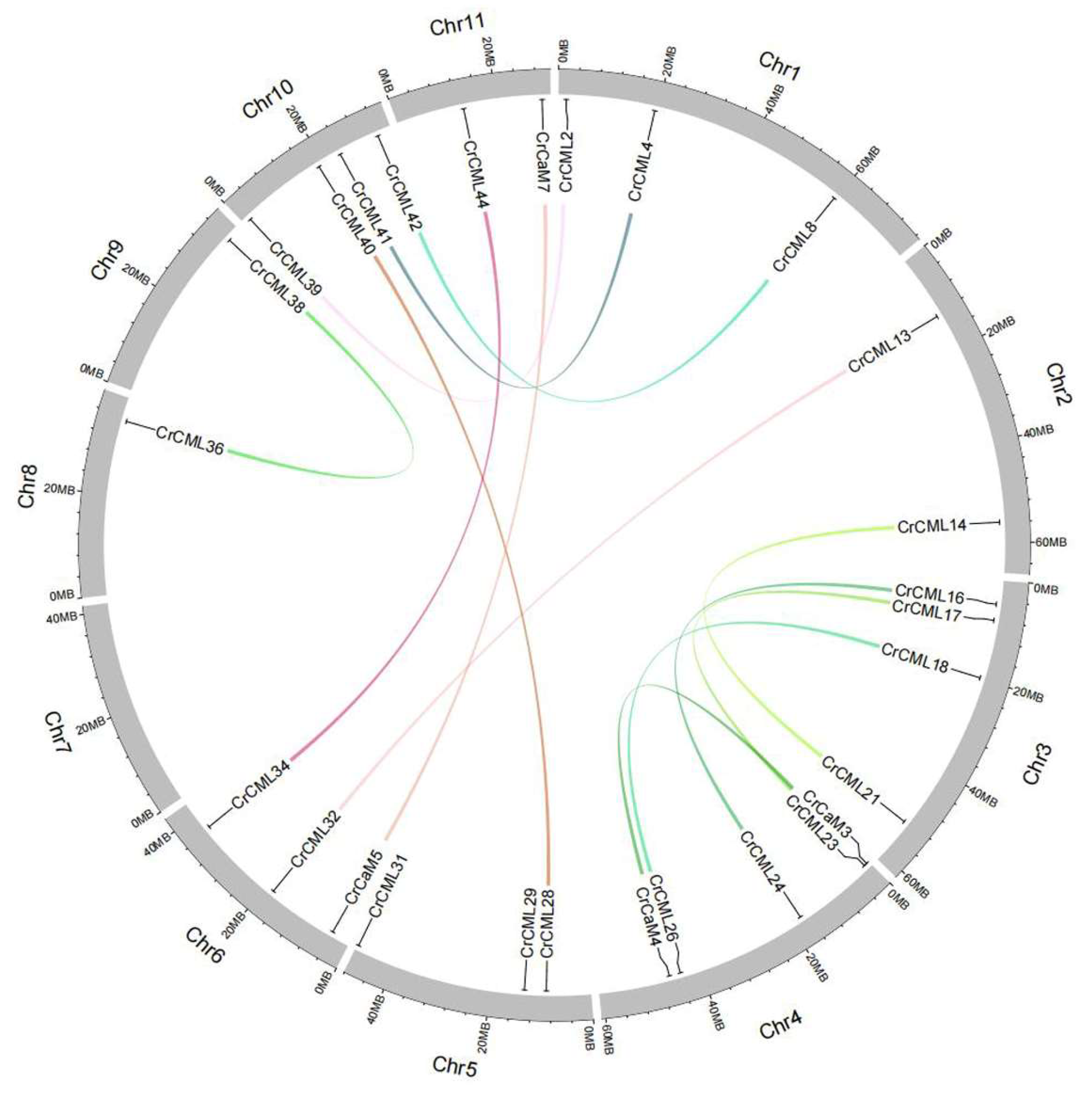 Preprints 120145 g002