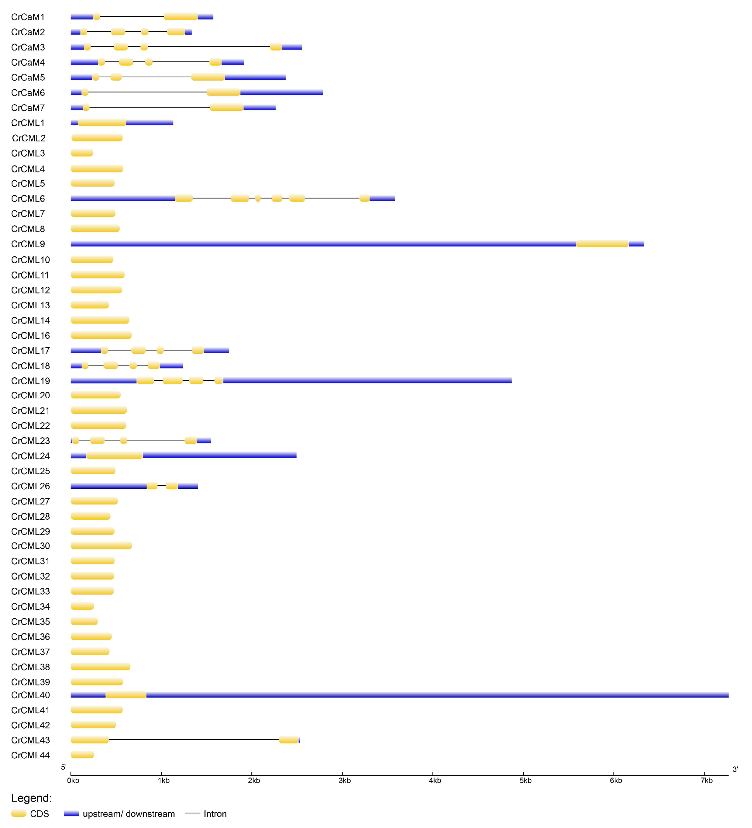 Preprints 120145 g003