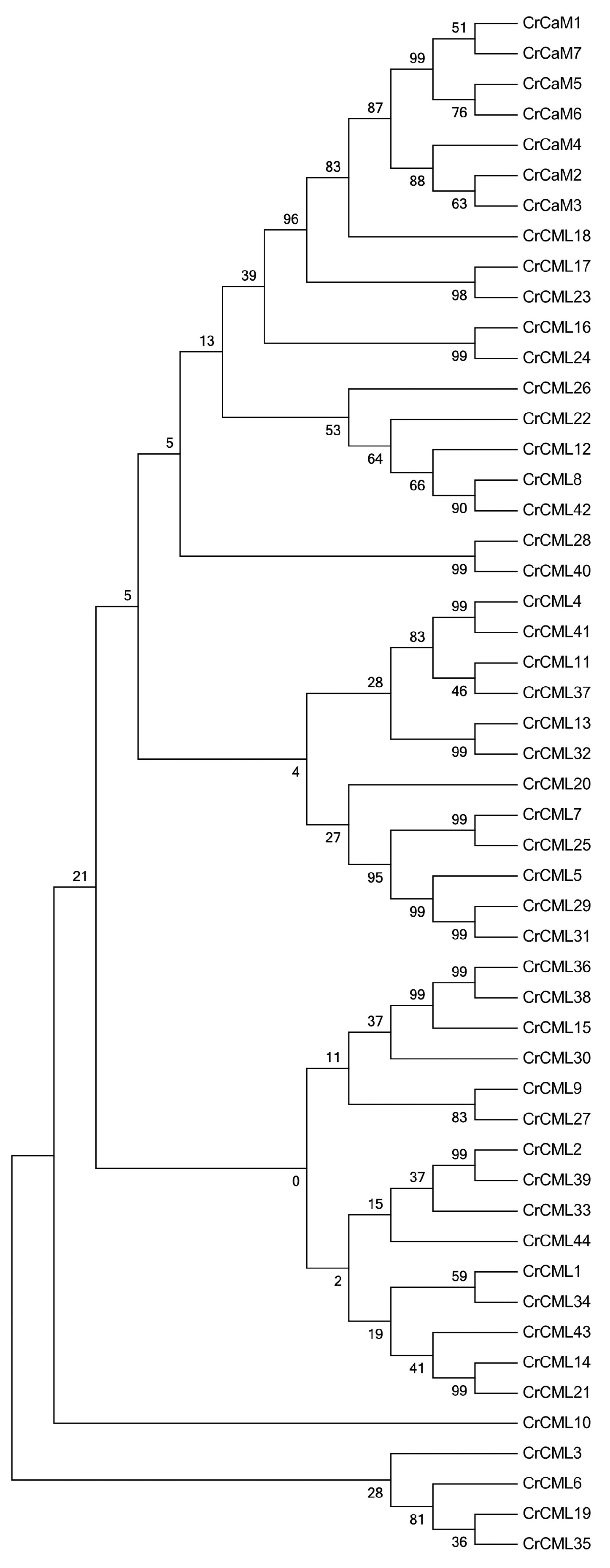 Preprints 120145 g005