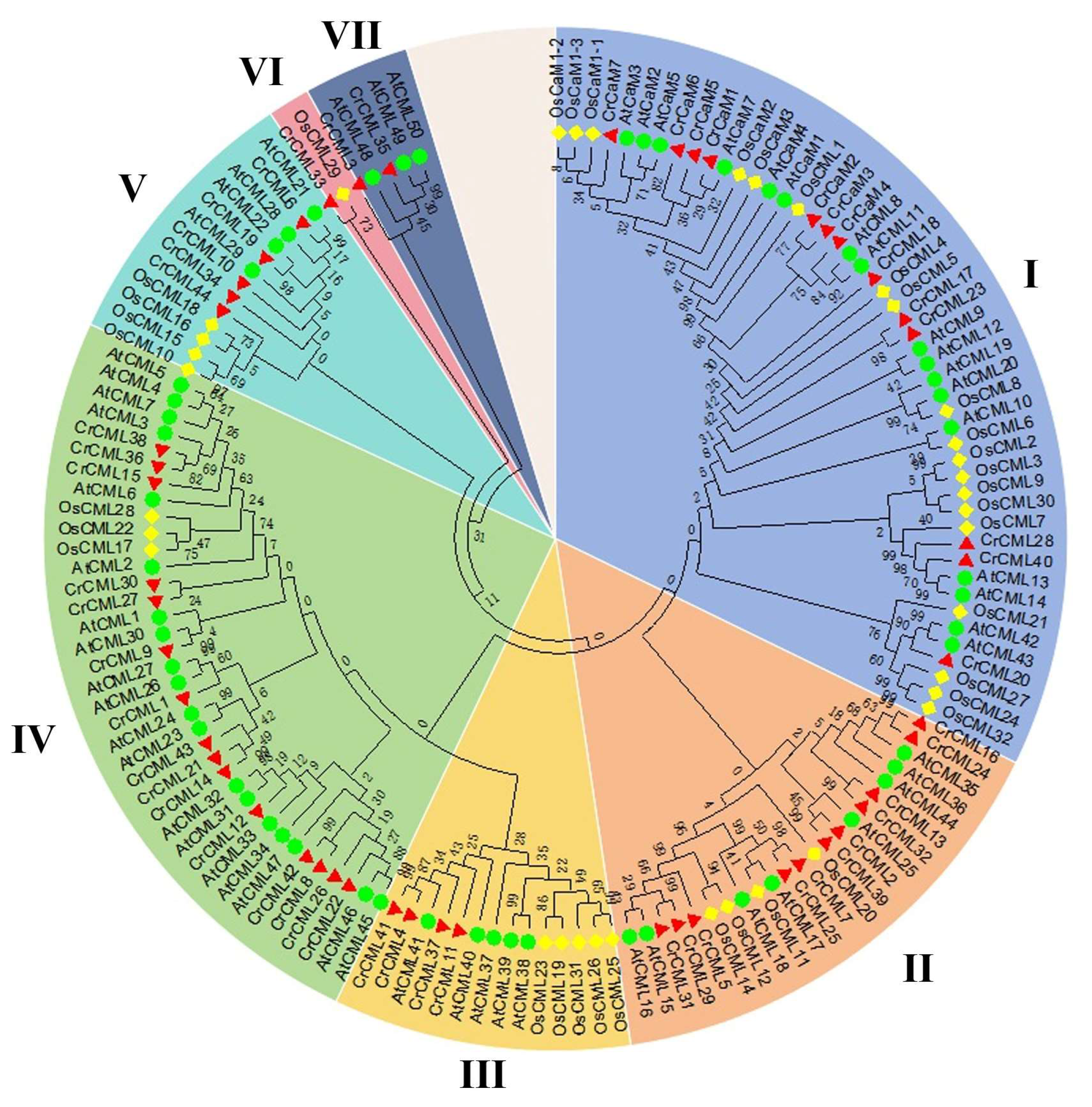 Preprints 120145 g006