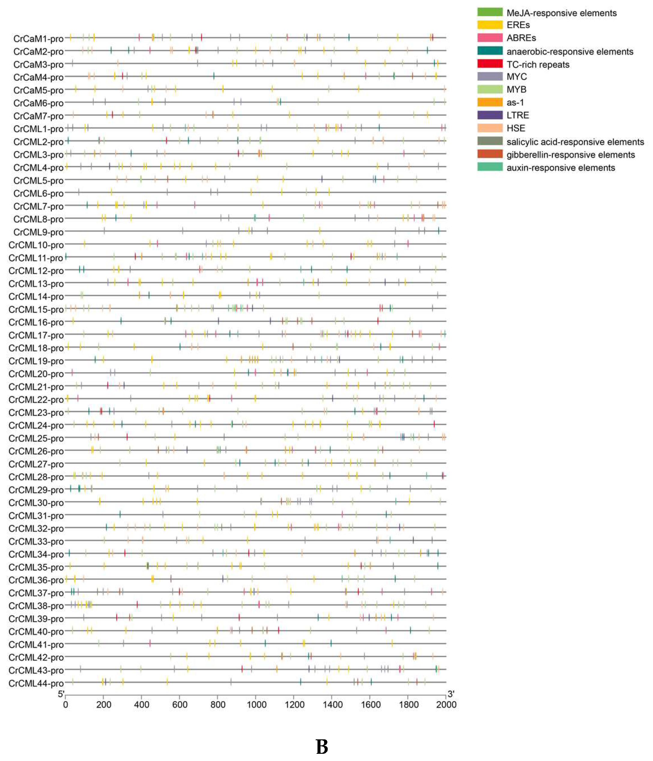 Preprints 120145 g007b