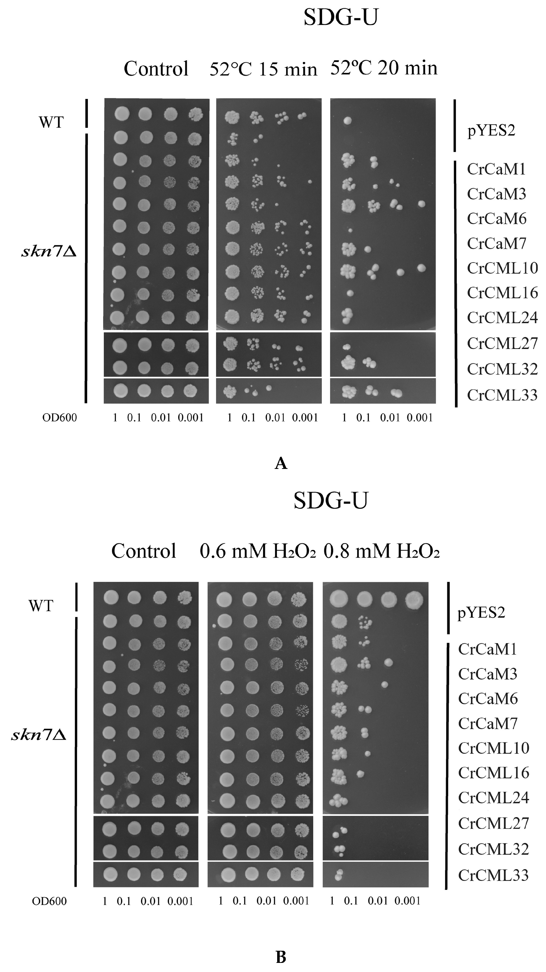 Preprints 120145 g012a