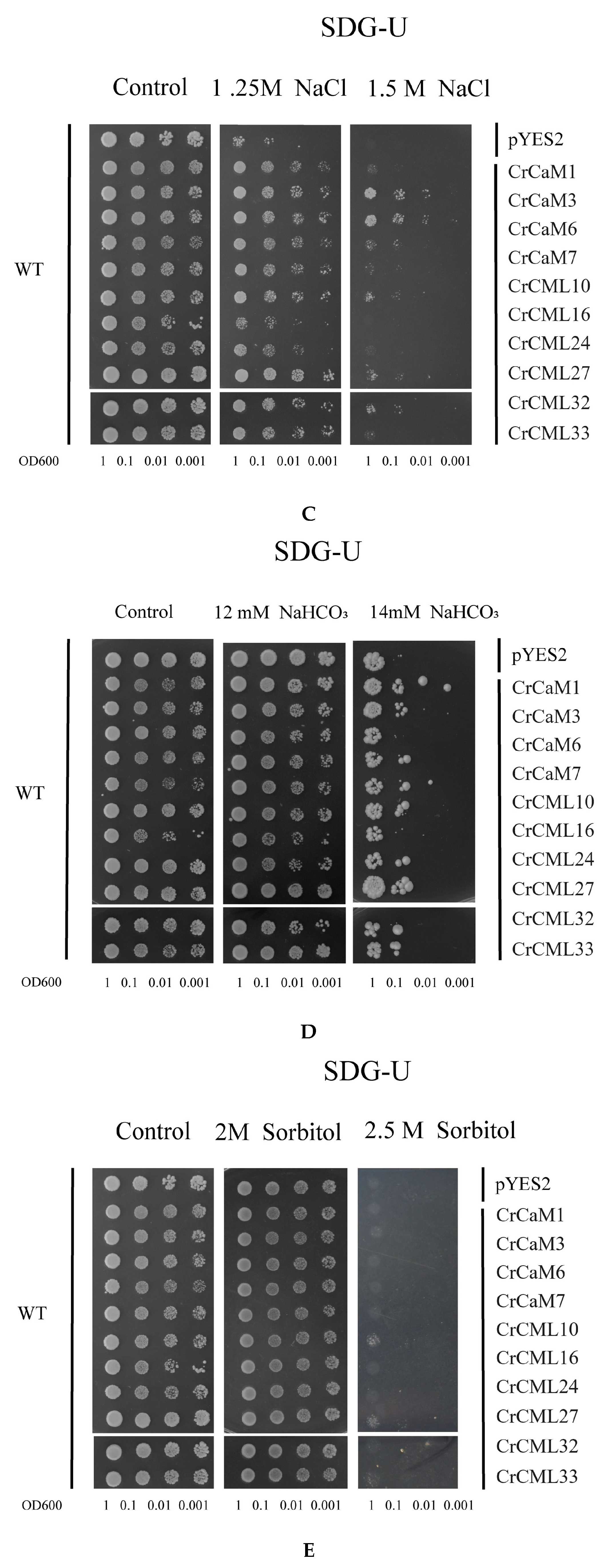 Preprints 120145 g012b