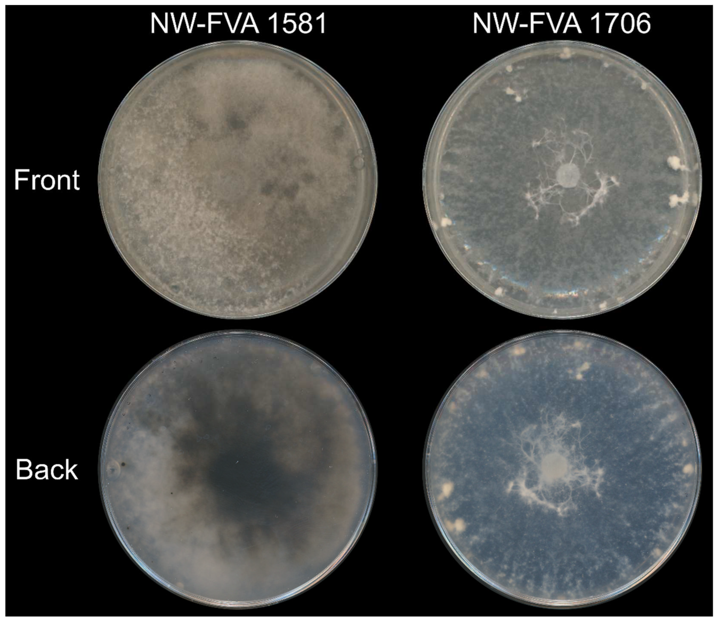 Preprints 79272 g001