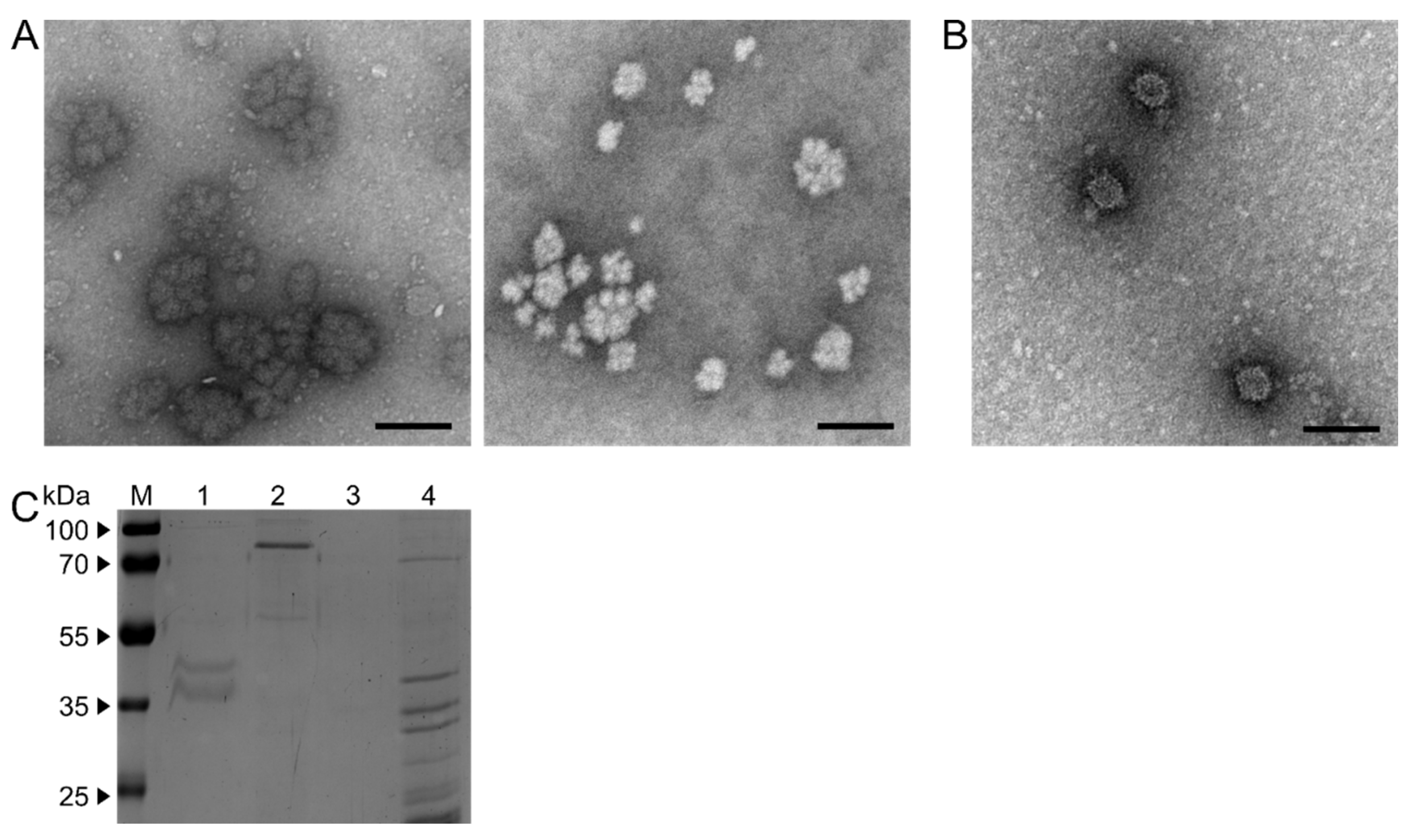 Preprints 79272 g003