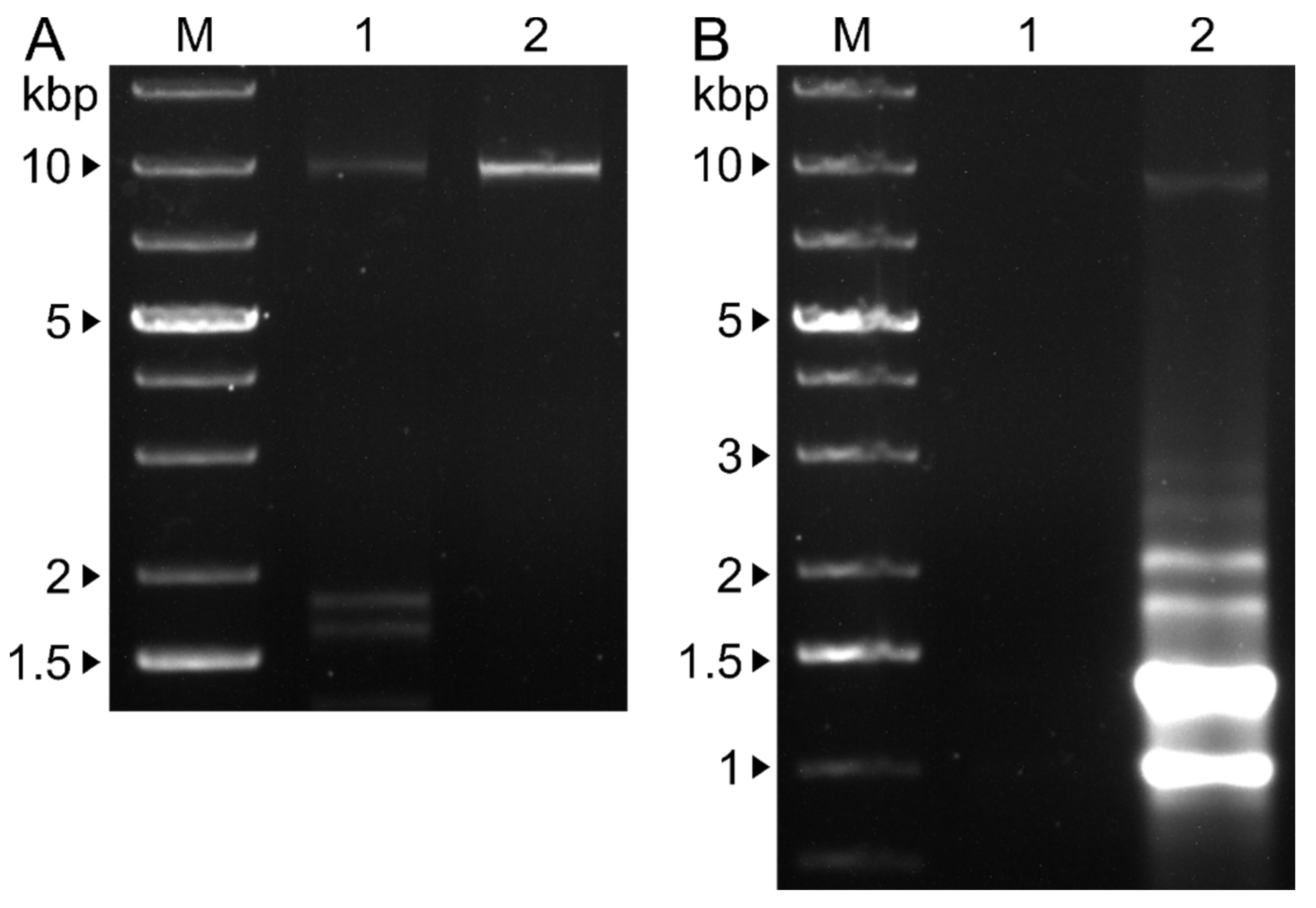 Preprints 79272 g004