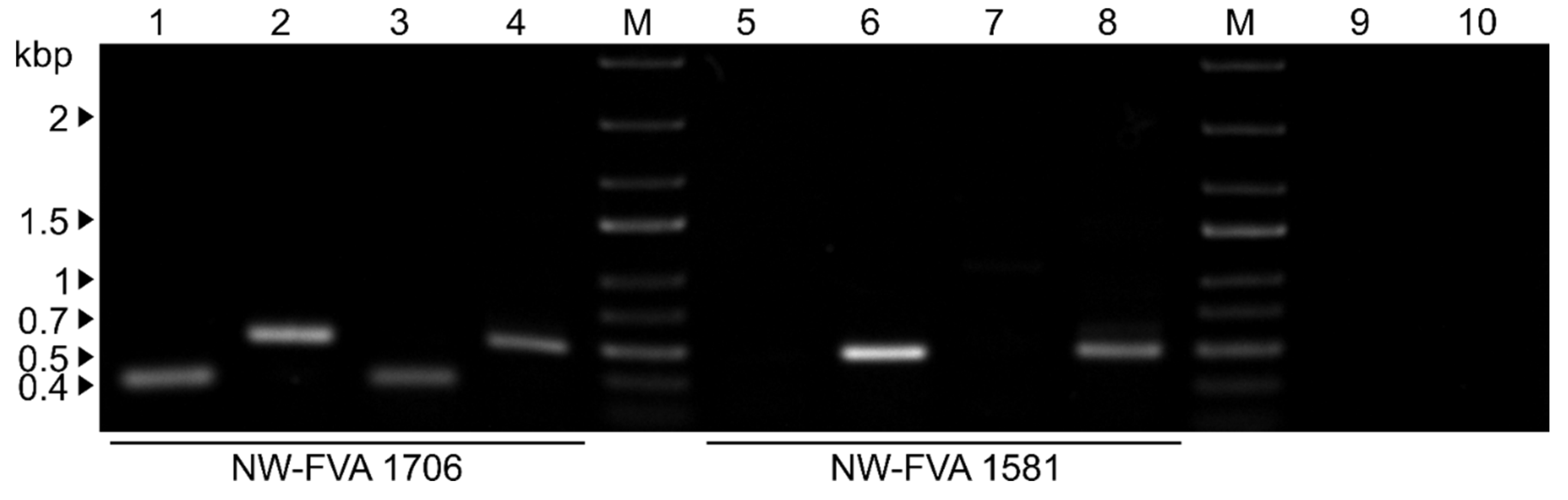 Preprints 79272 g005