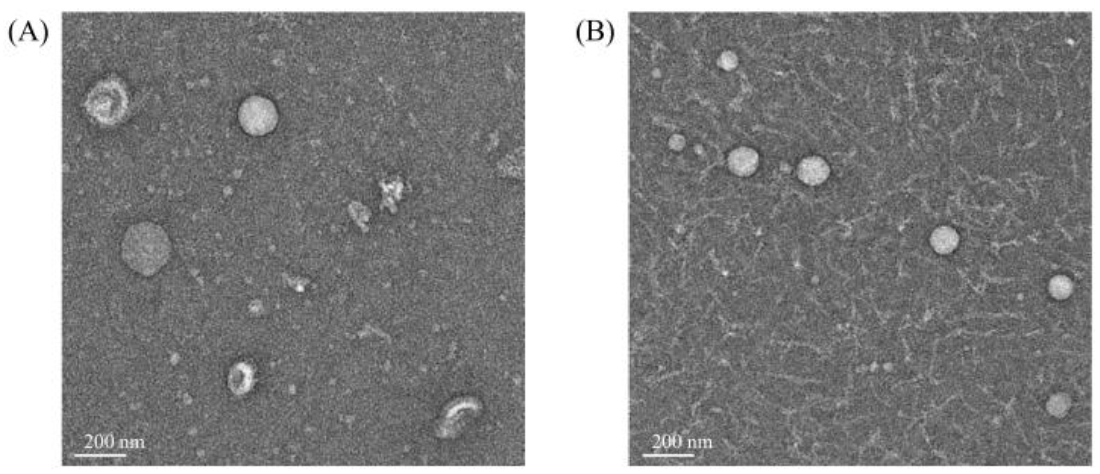 Preprints 106383 g004