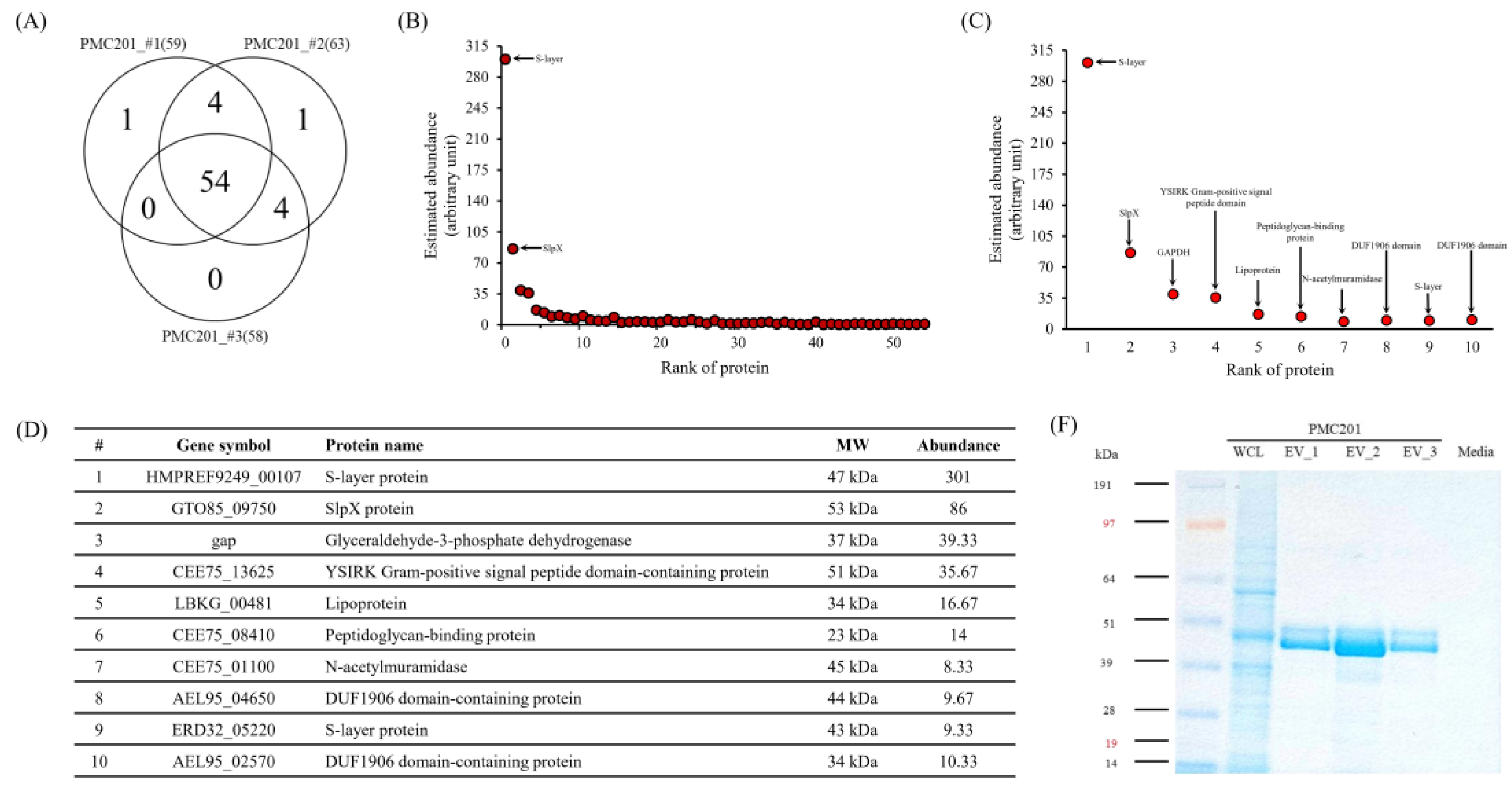 Preprints 106383 g005