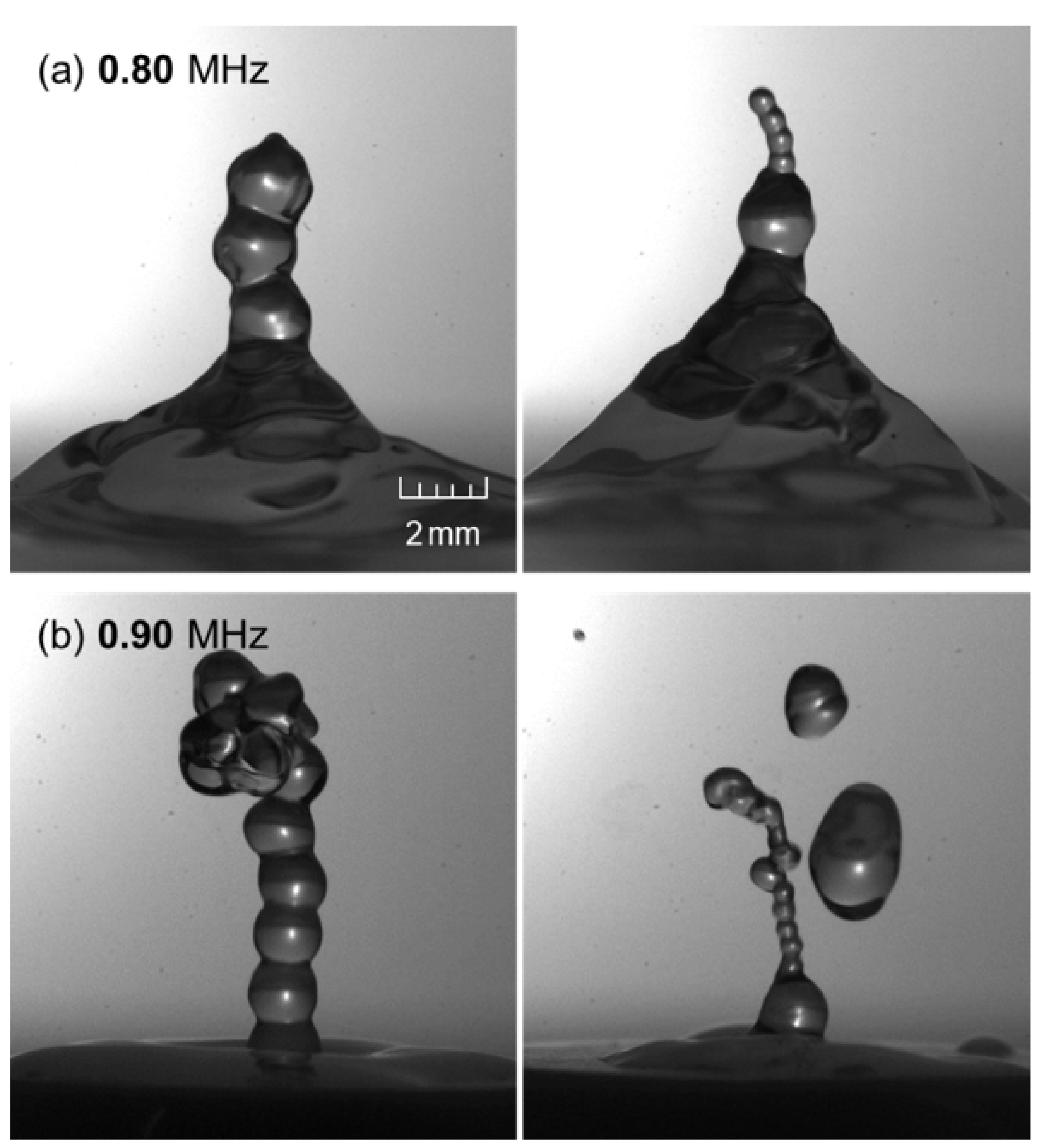 Preprints 71169 g009