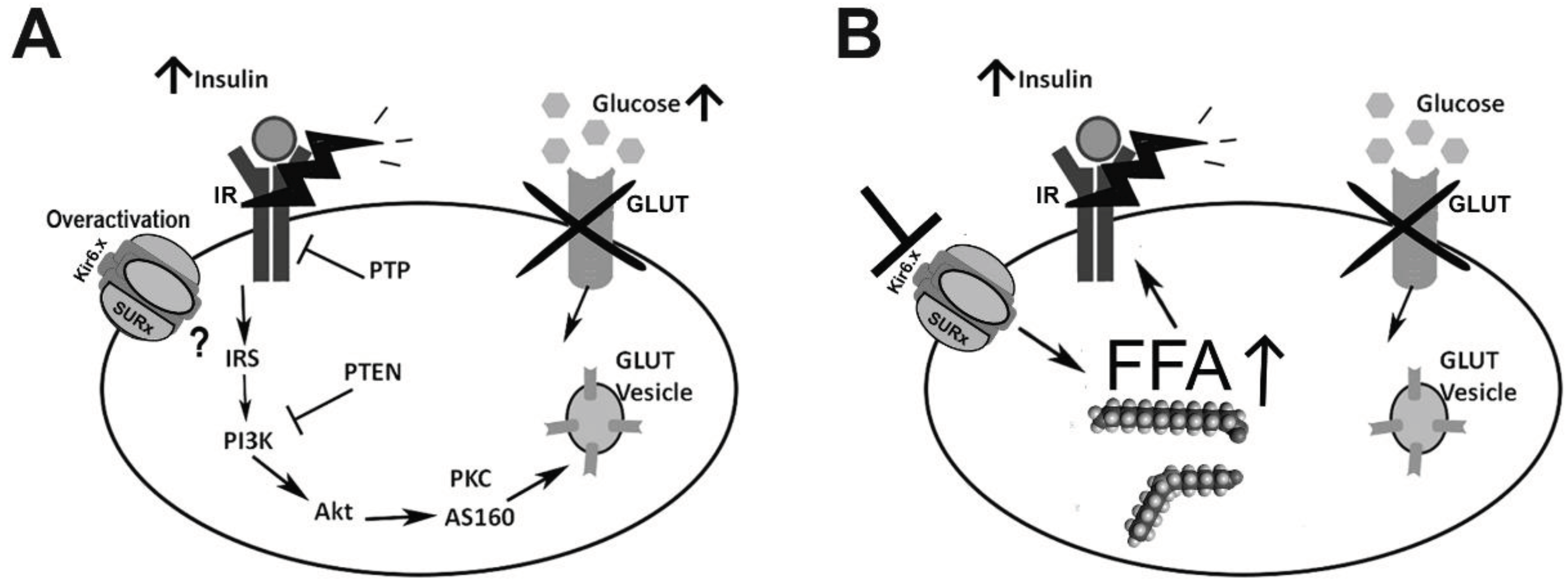 Preprints 100797 g002