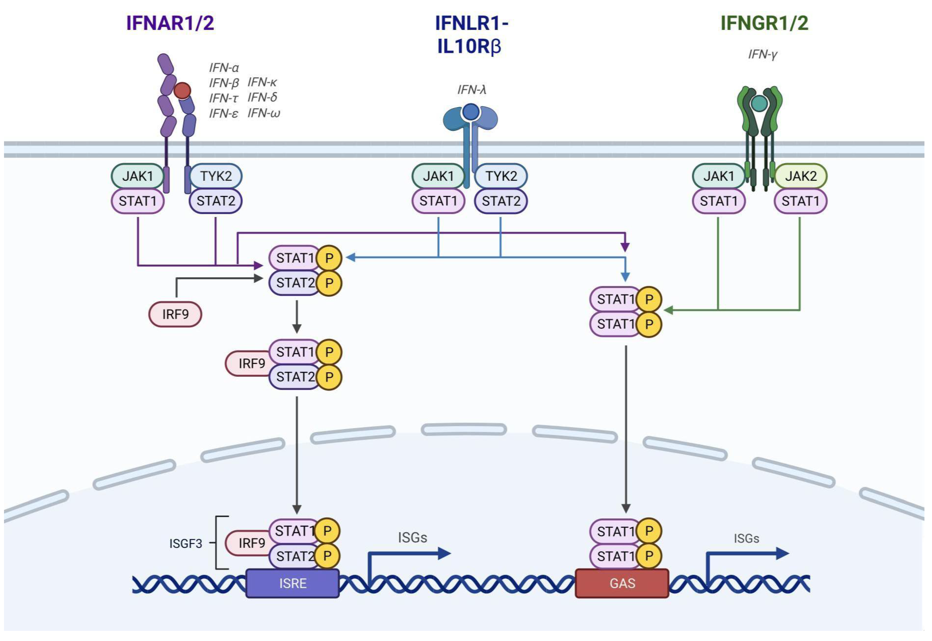 Preprints 110475 g002