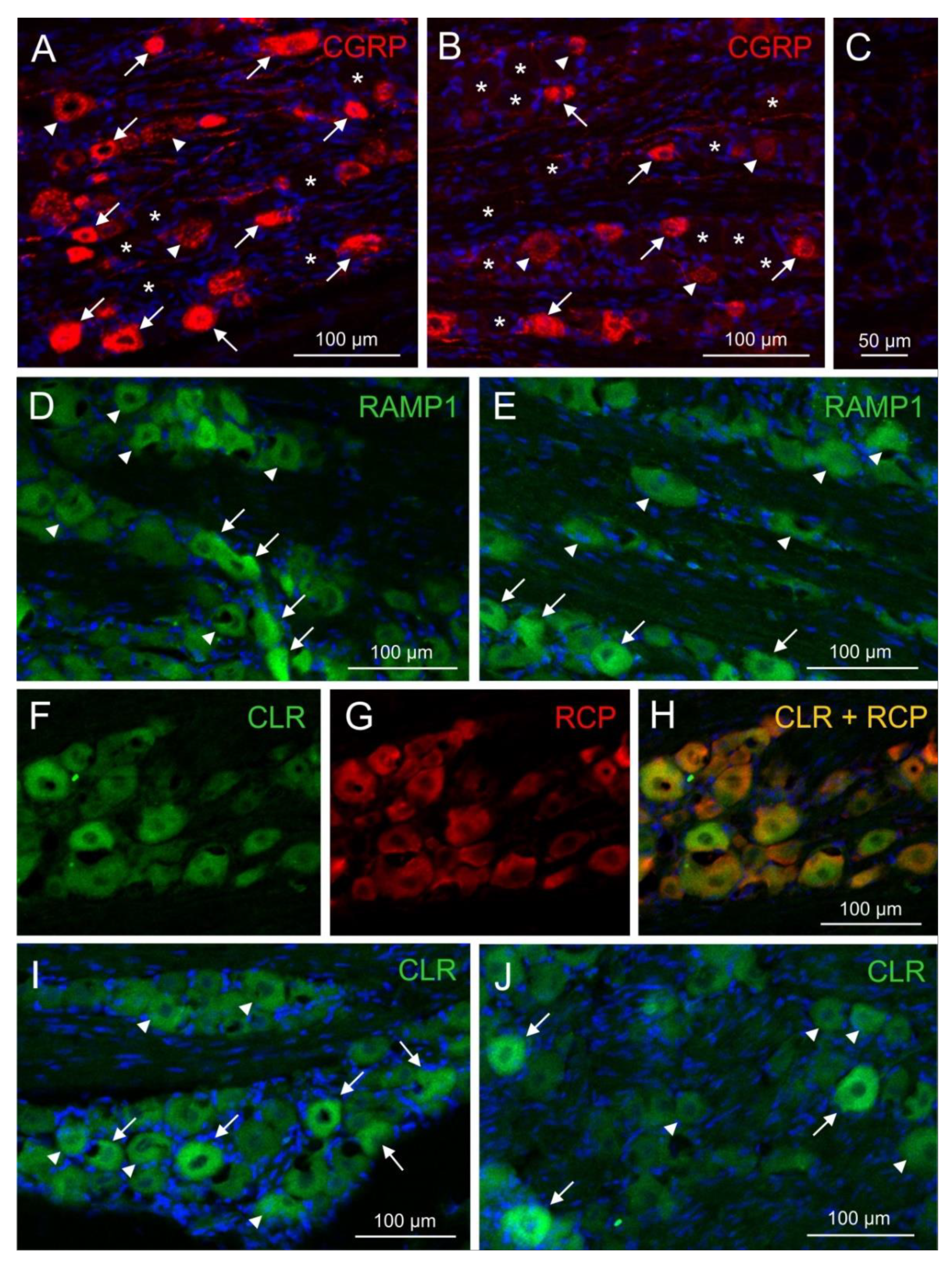 Preprints 80735 g003