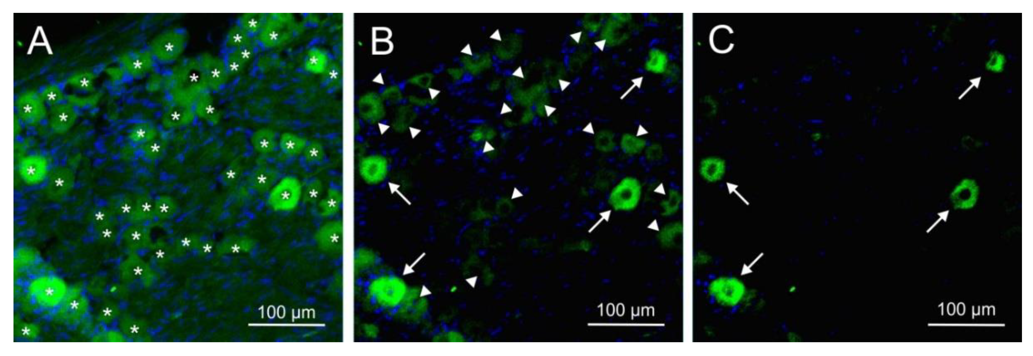 Preprints 80735 g006