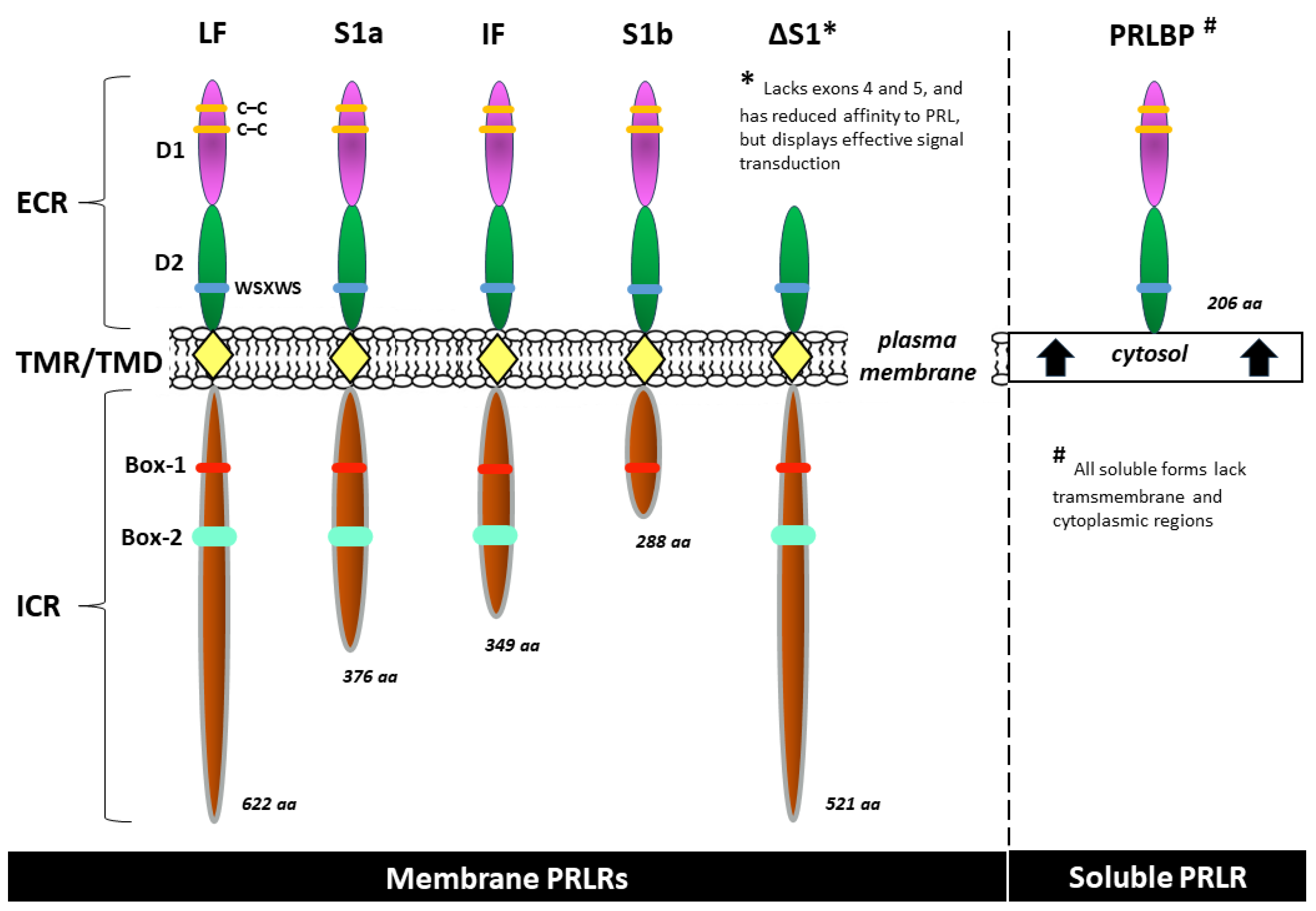 Preprints 96142 g002