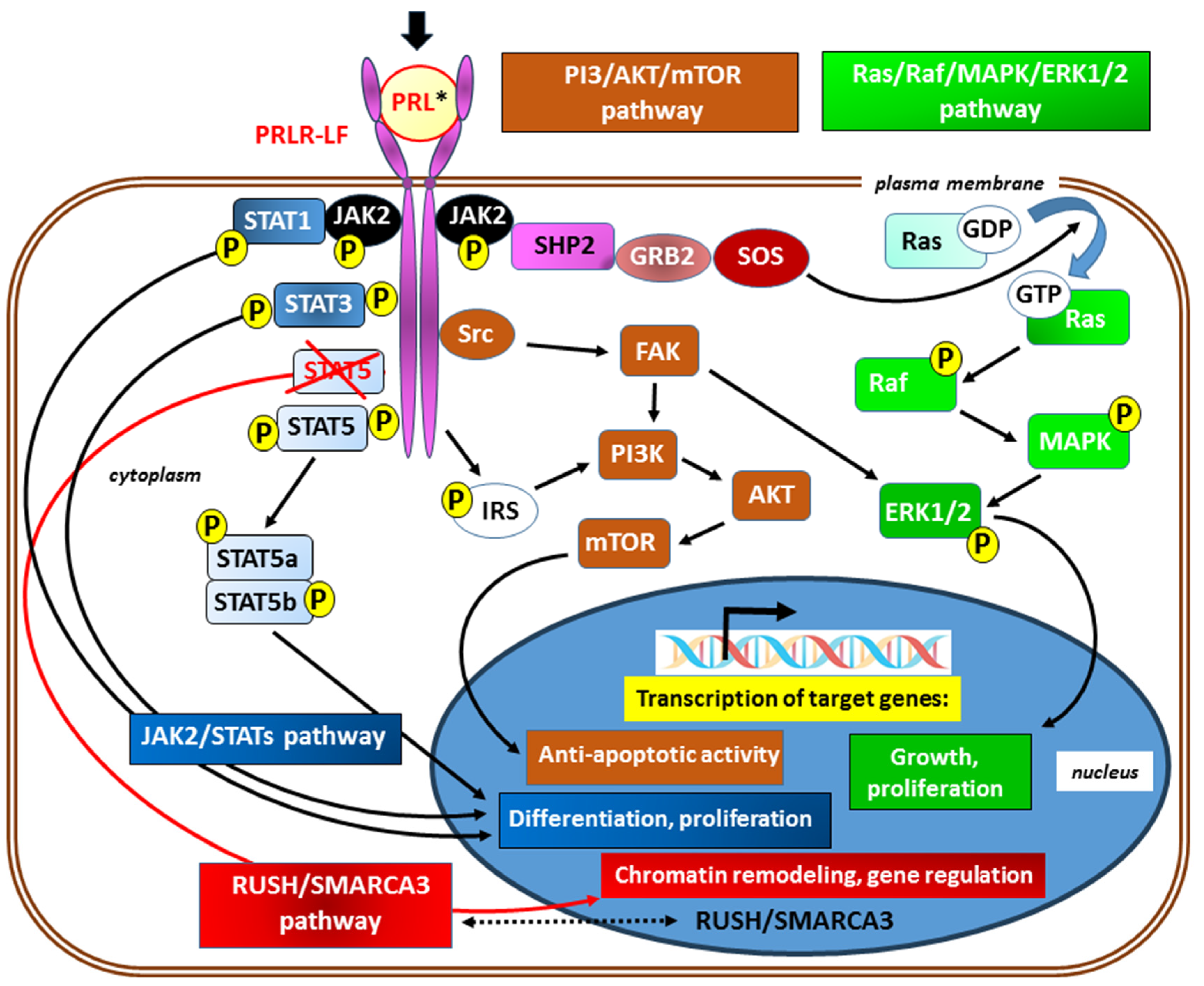 Preprints 96142 g003