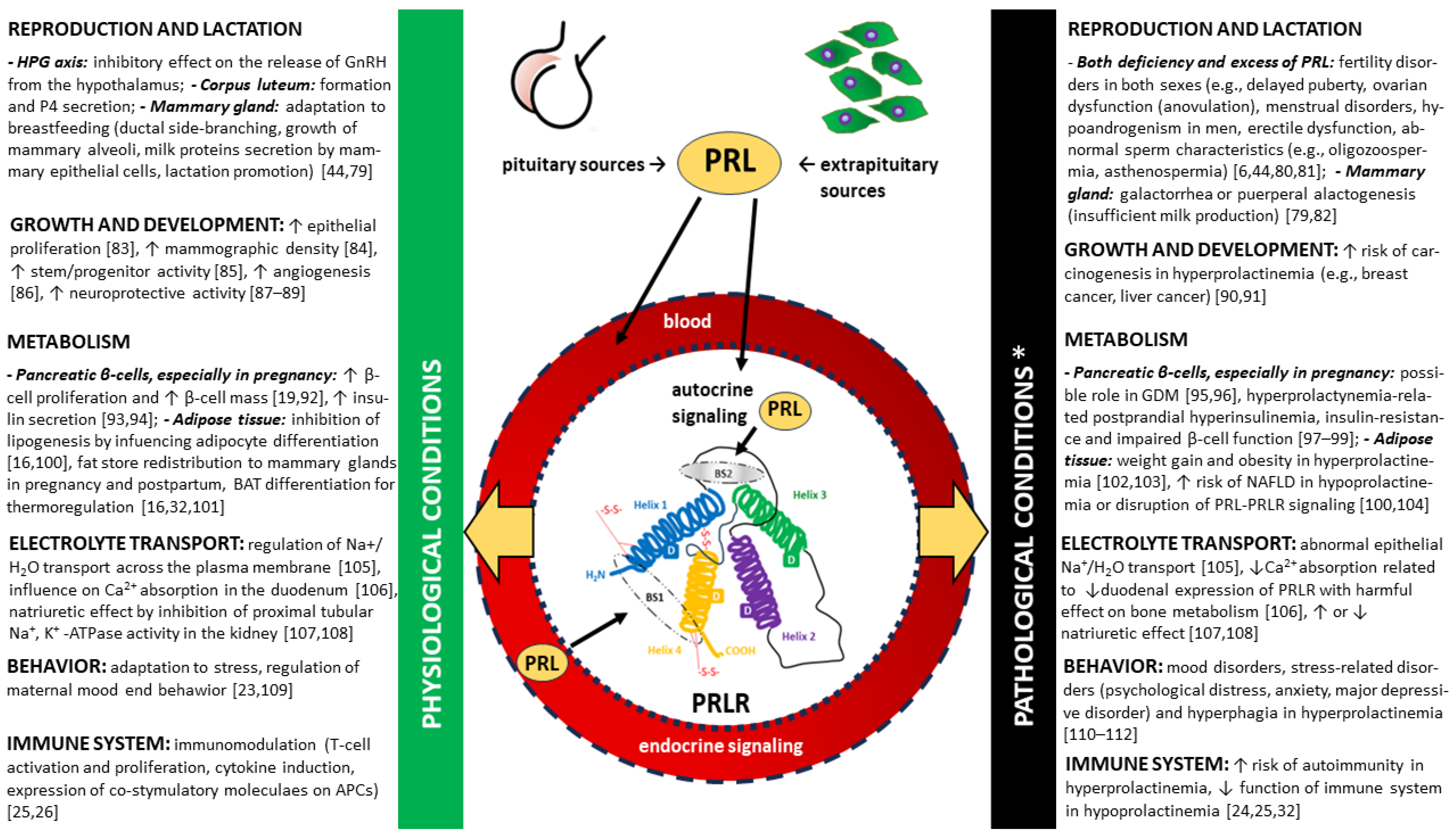 Preprints 96142 g004