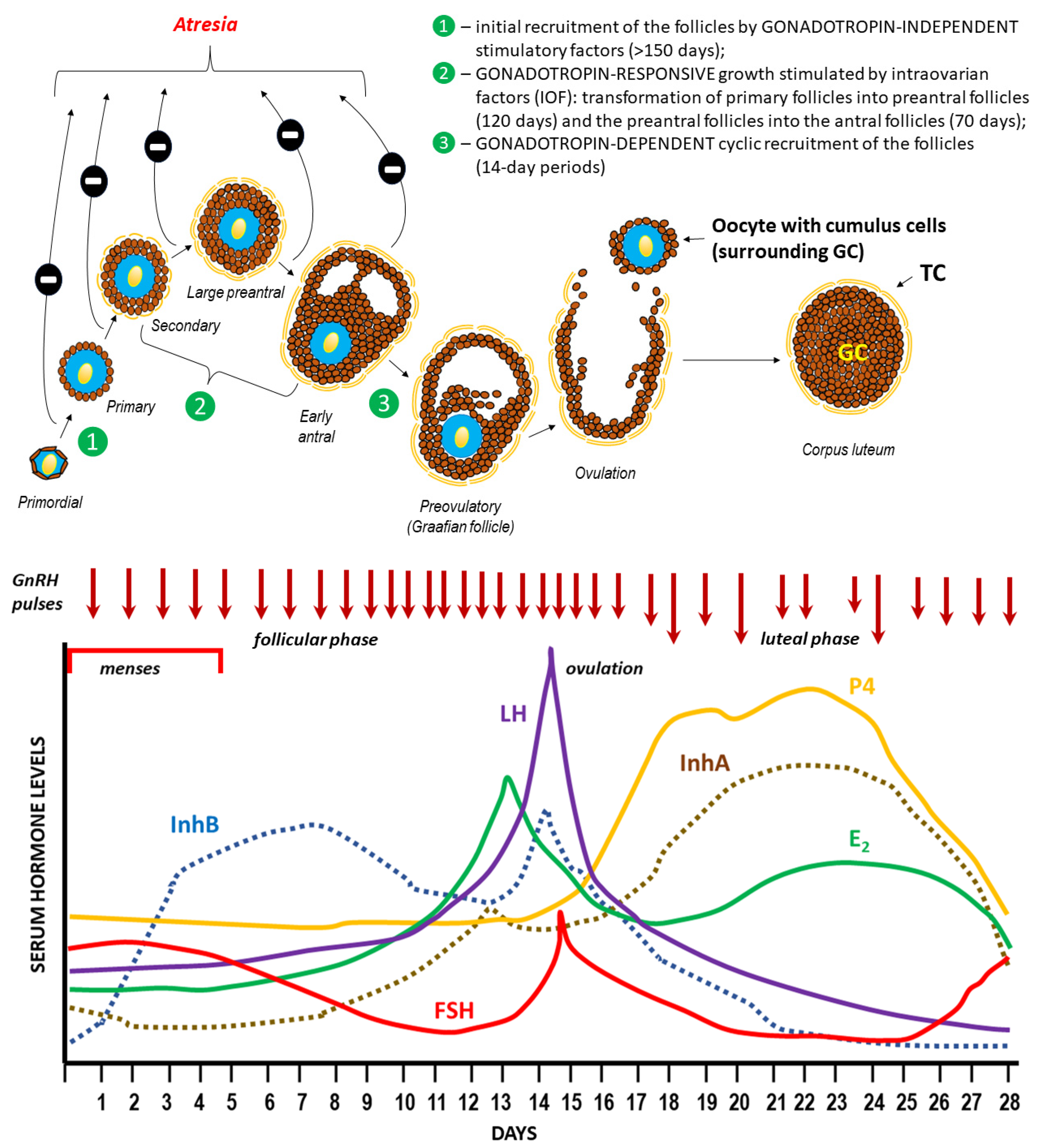 Preprints 96142 g005