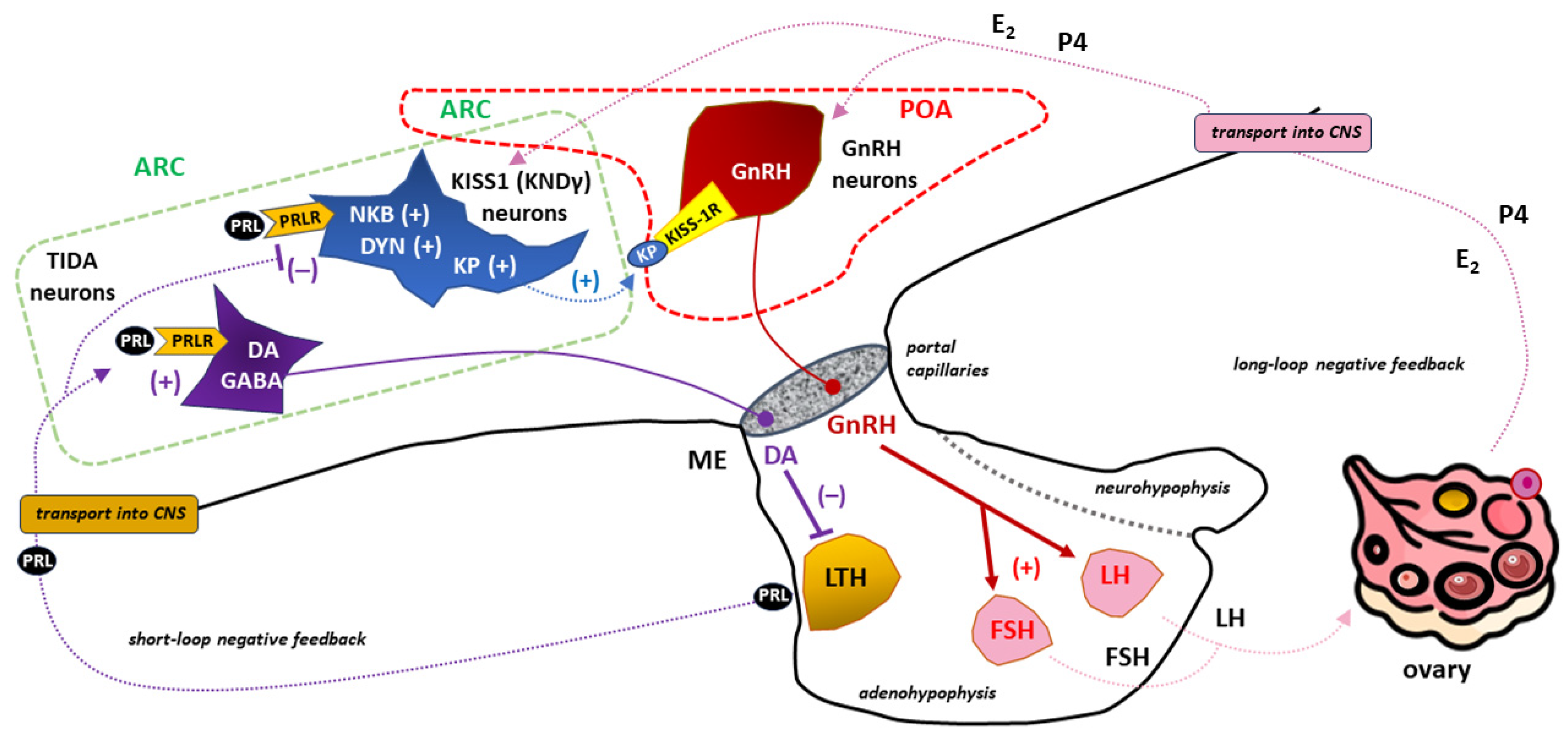 Preprints 96142 g007