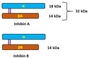 Preprints 96142 i006