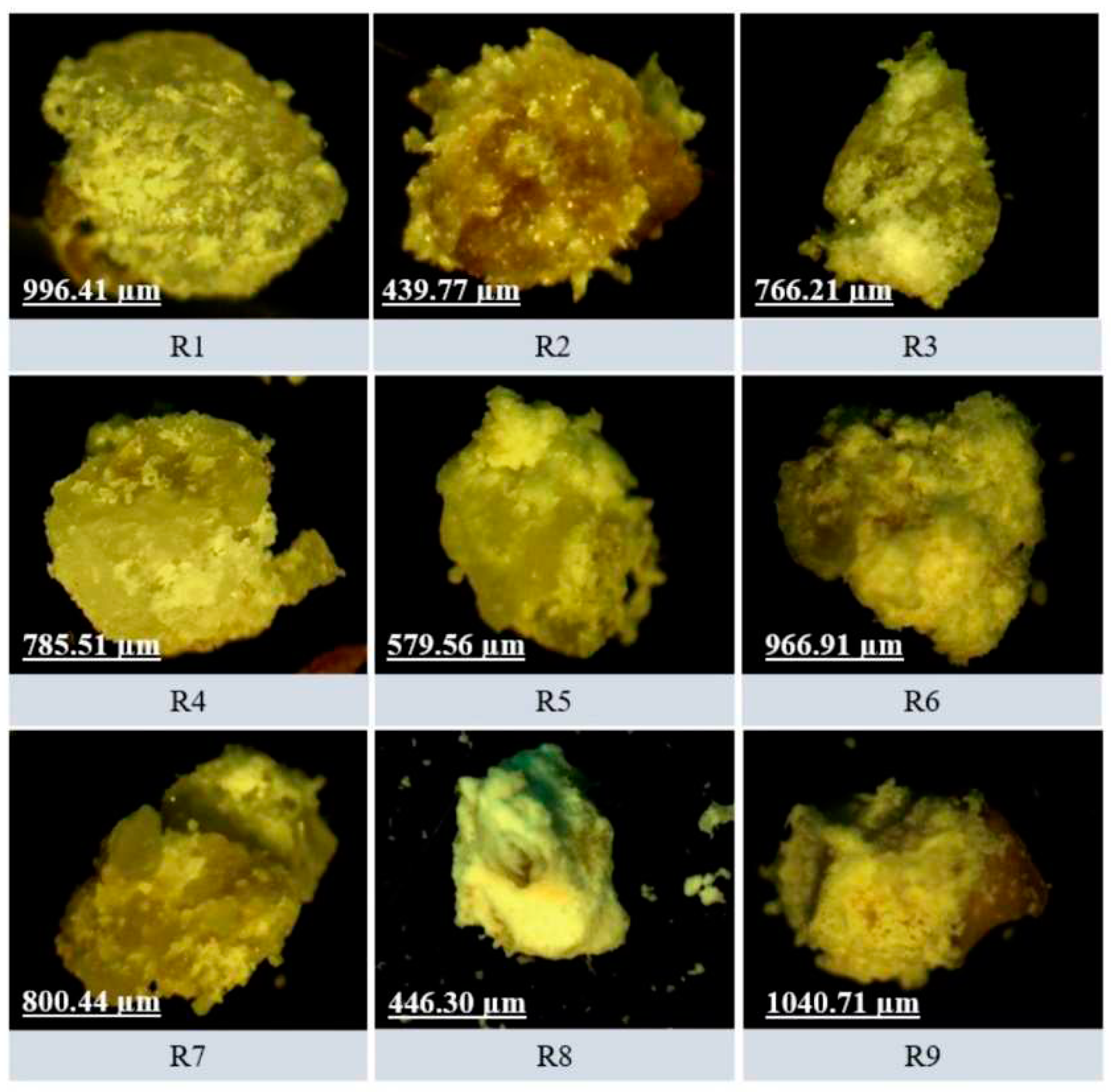 Preprints 92229 g008