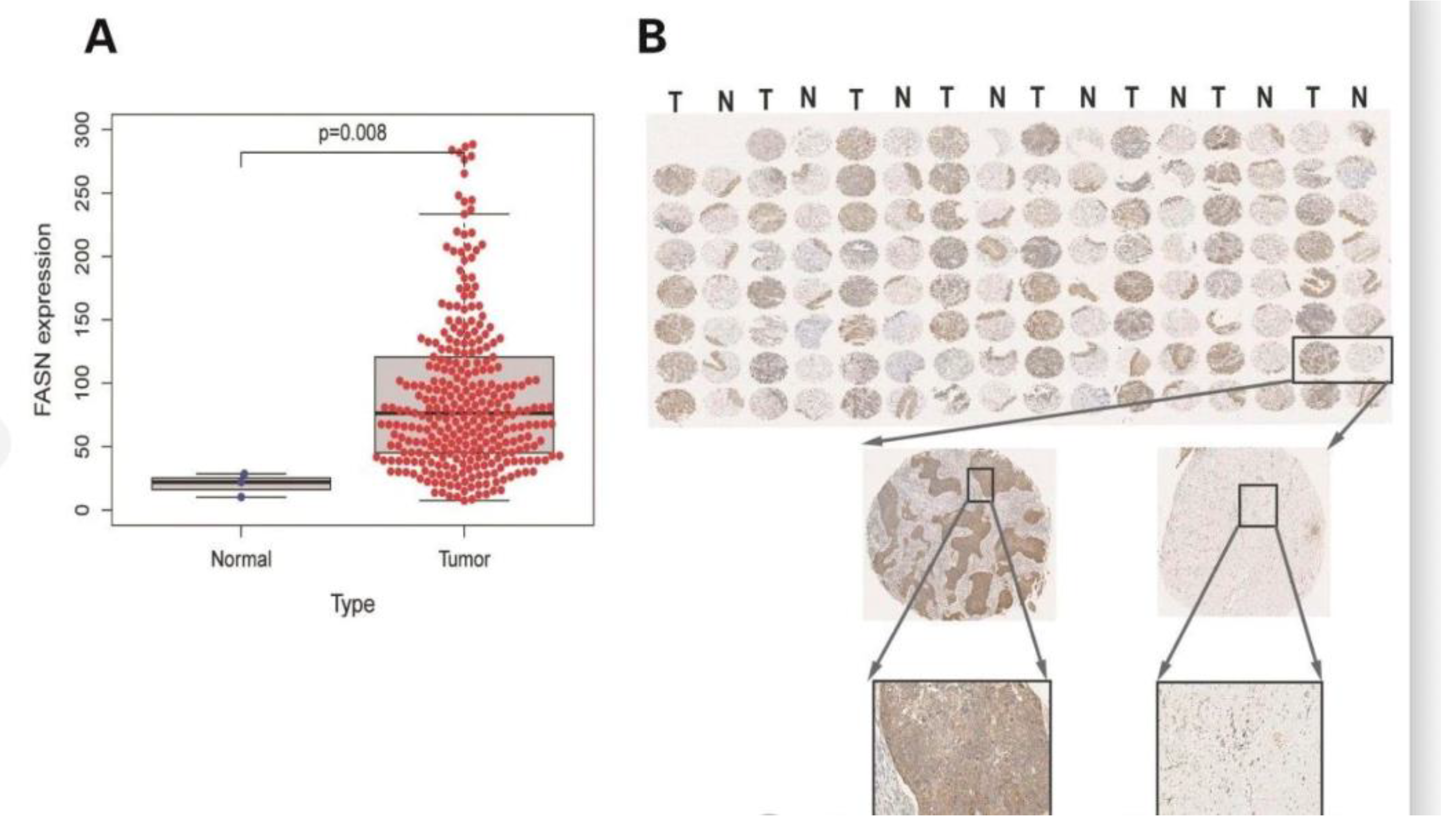 Preprints 116333 g004