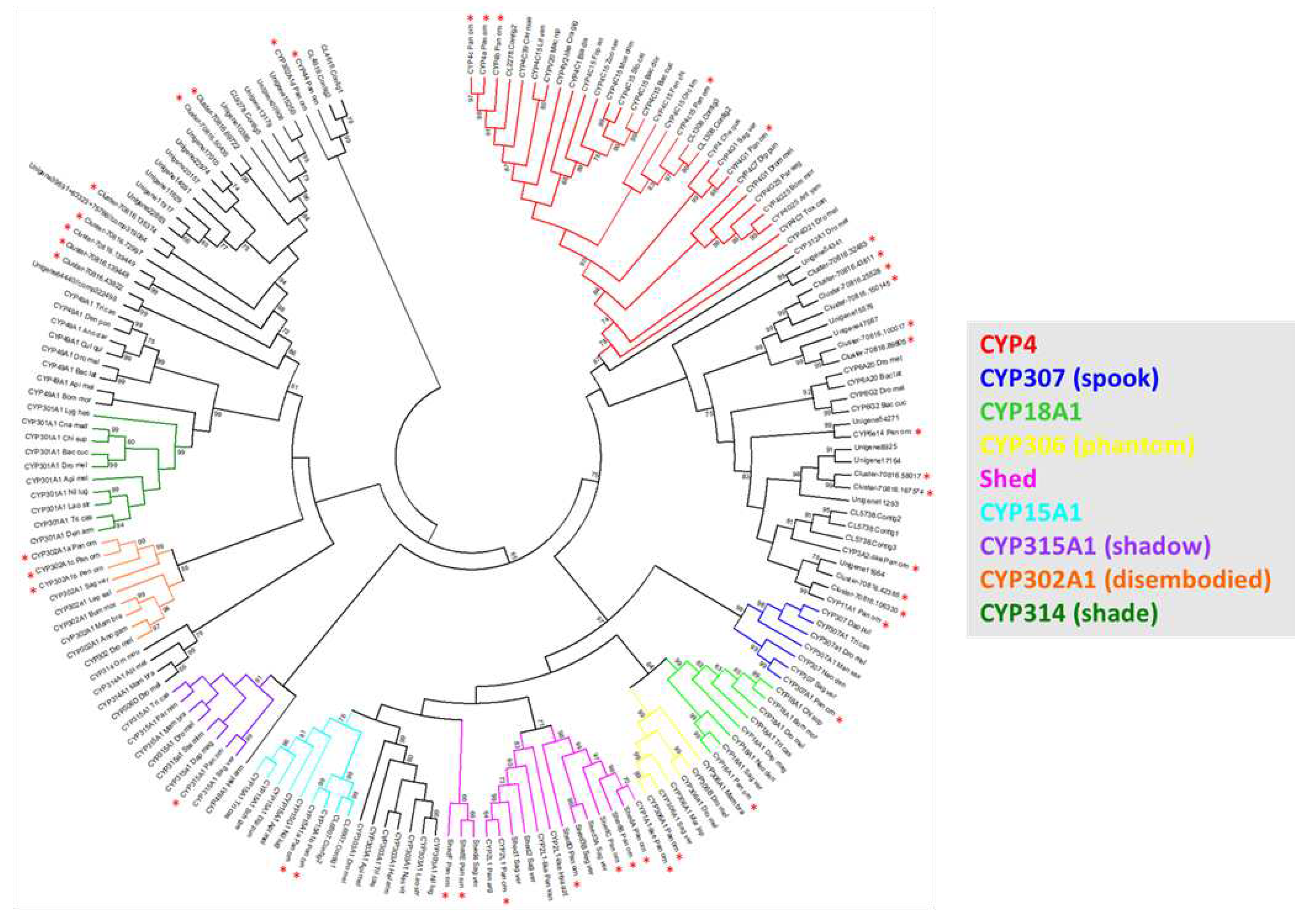 Preprints 92827 g002