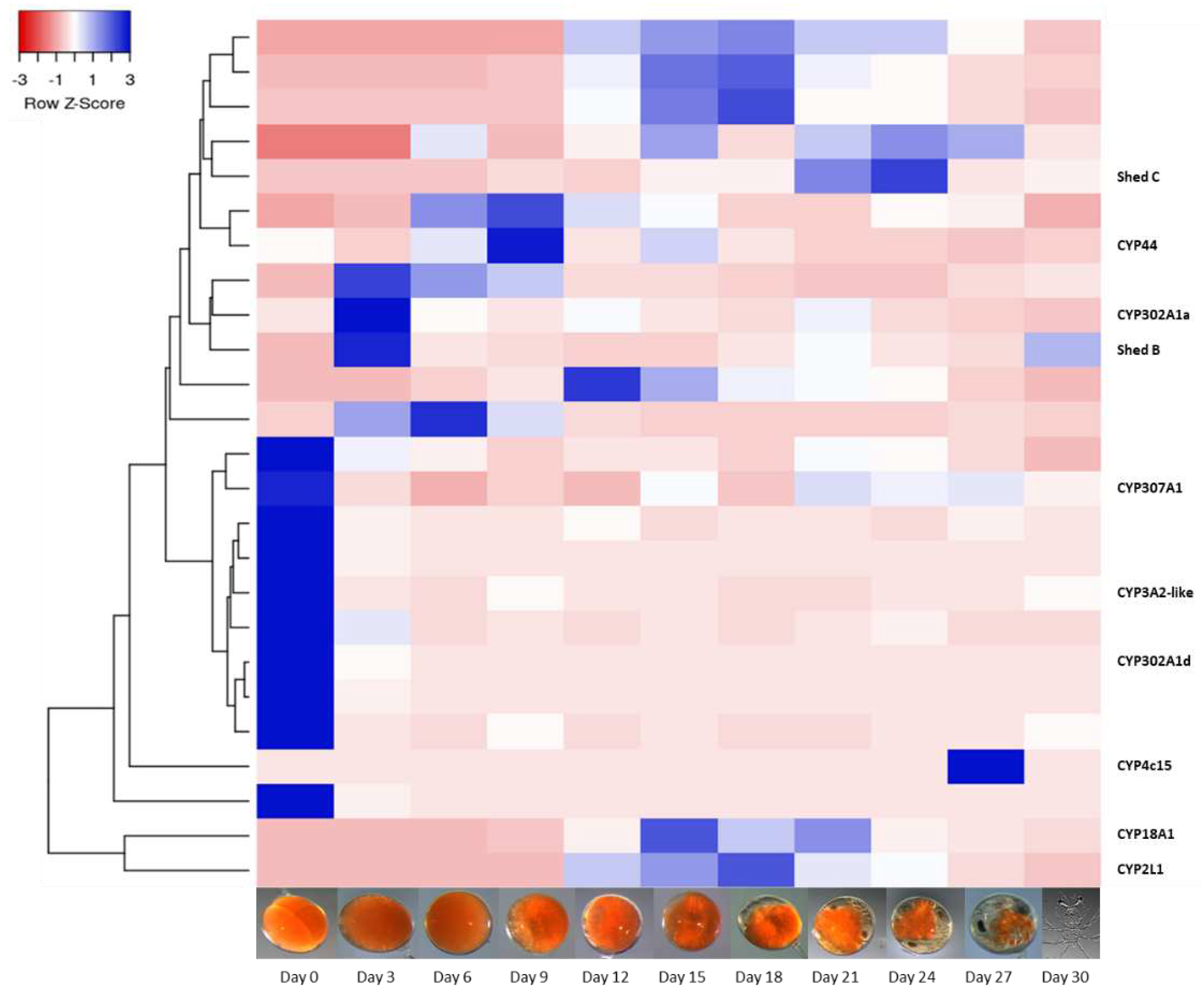 Preprints 92827 g003