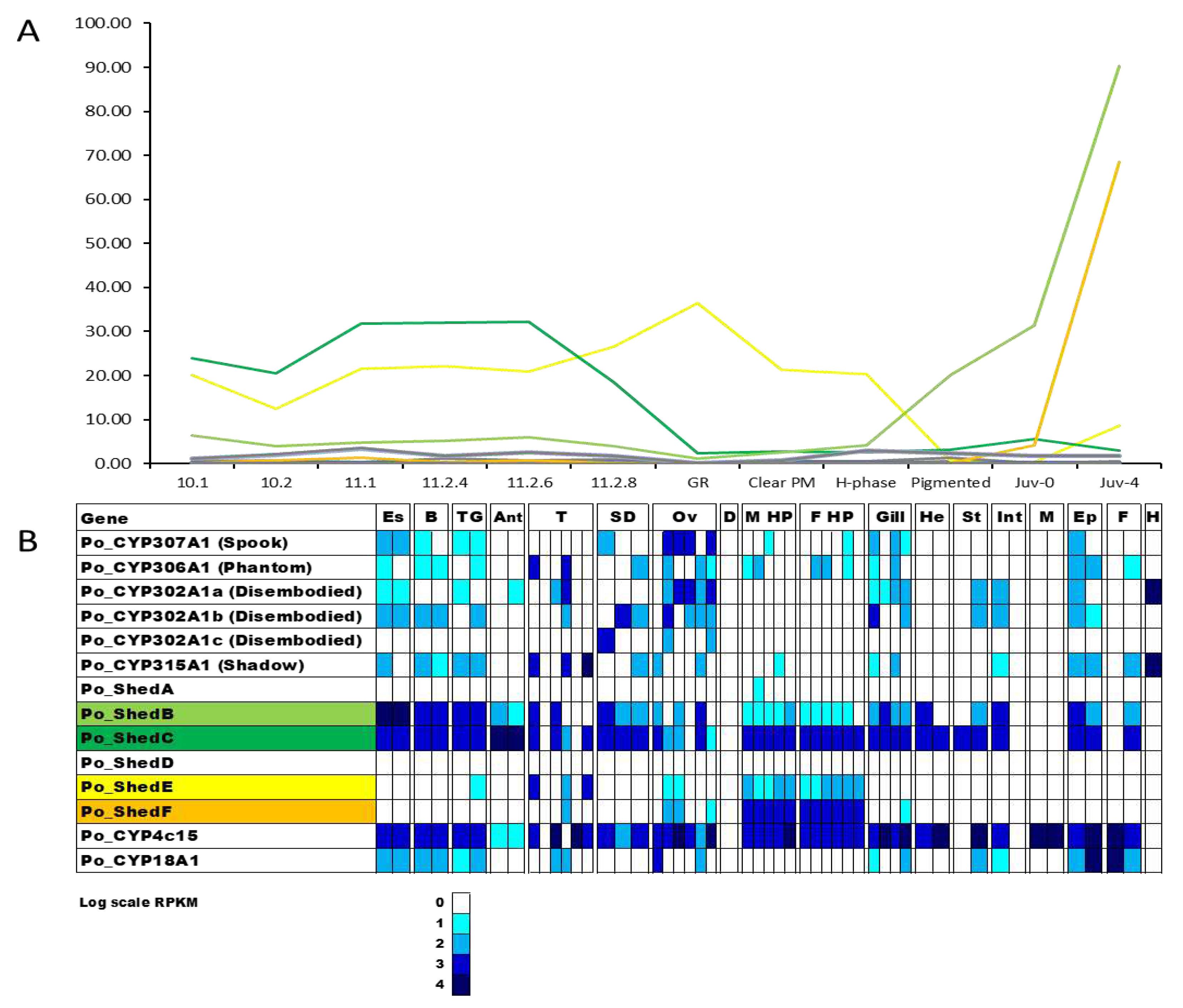 Preprints 92827 g006