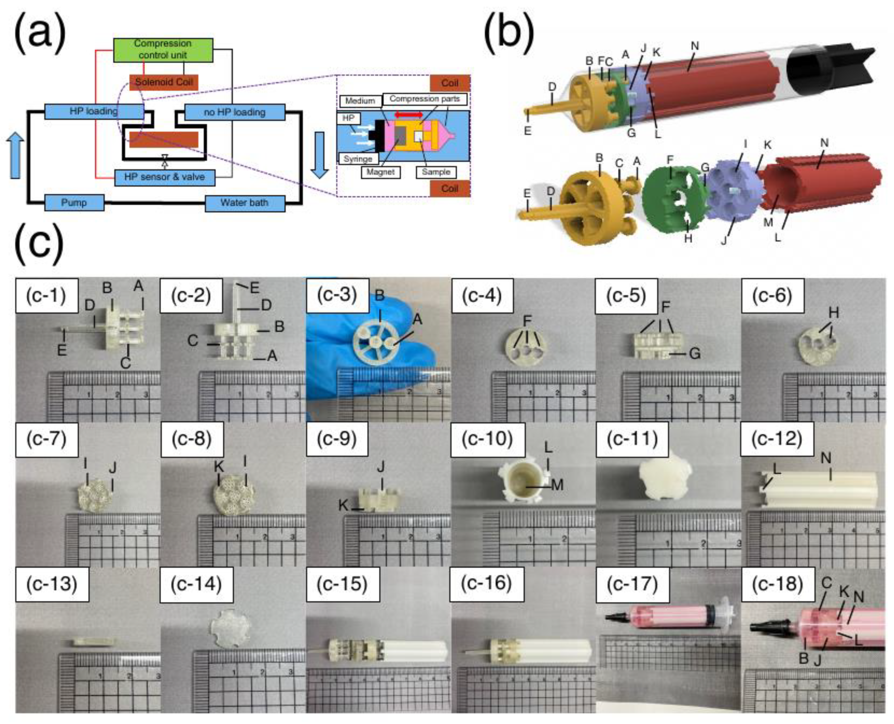 Preprints 80354 g002