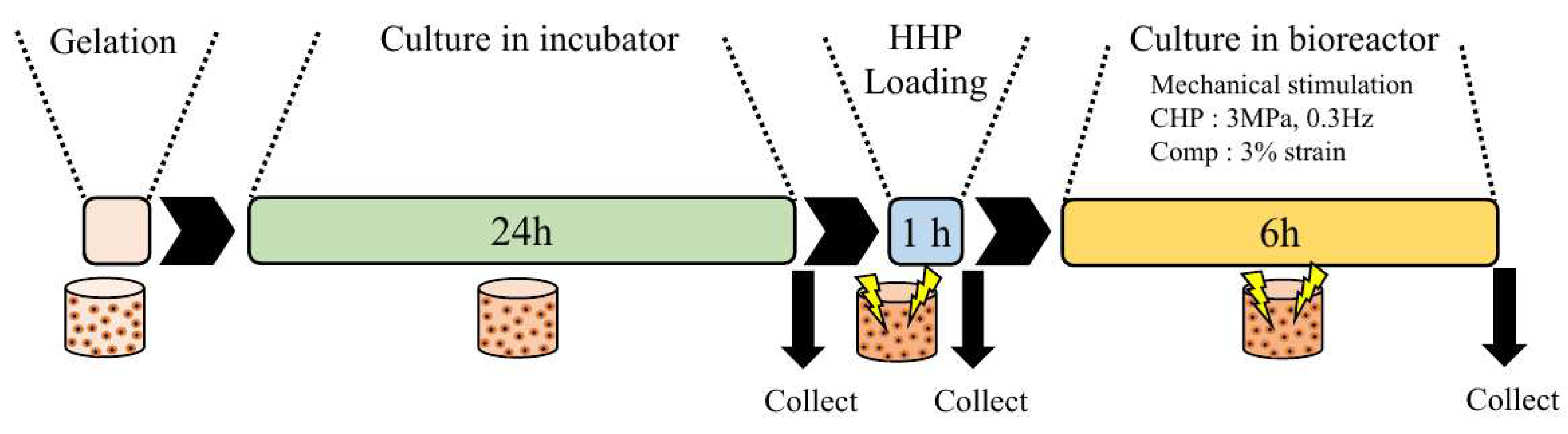 Preprints 80354 g004